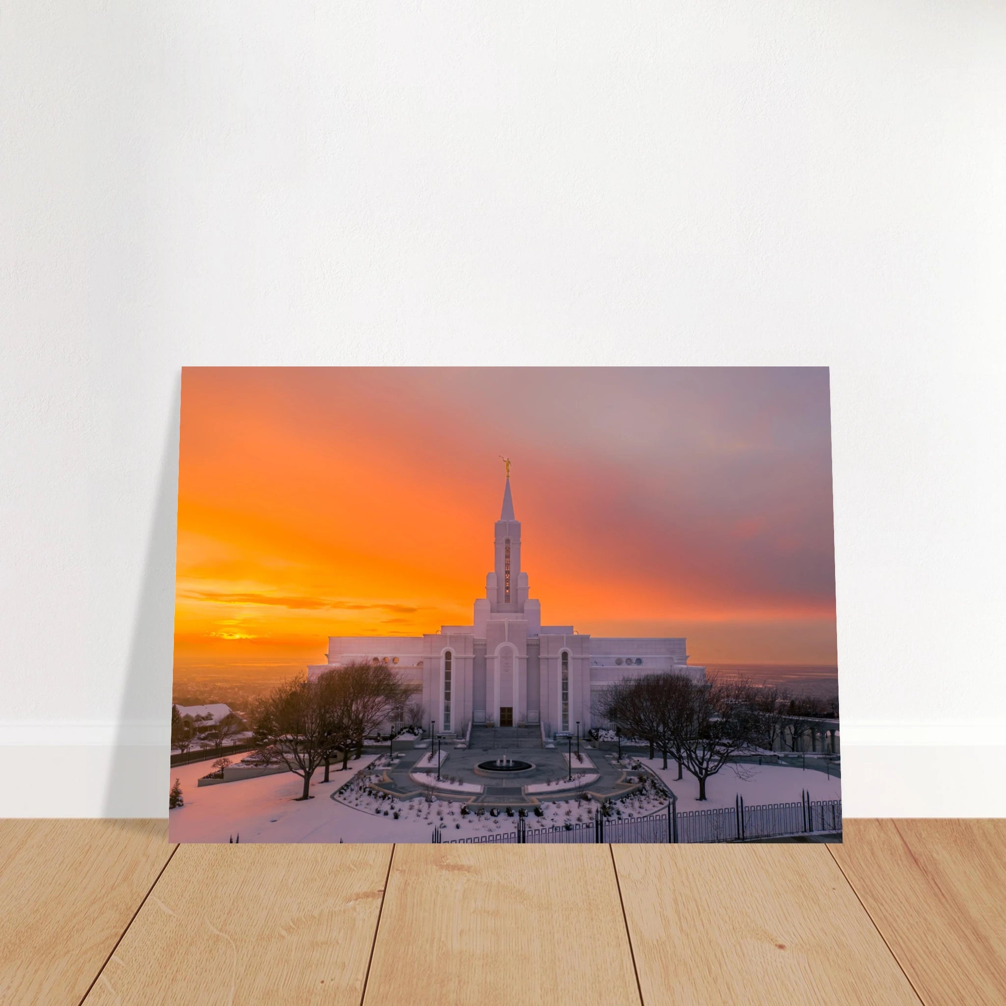 6fb89a9d-45a7-44df-8931-a0231ffba519