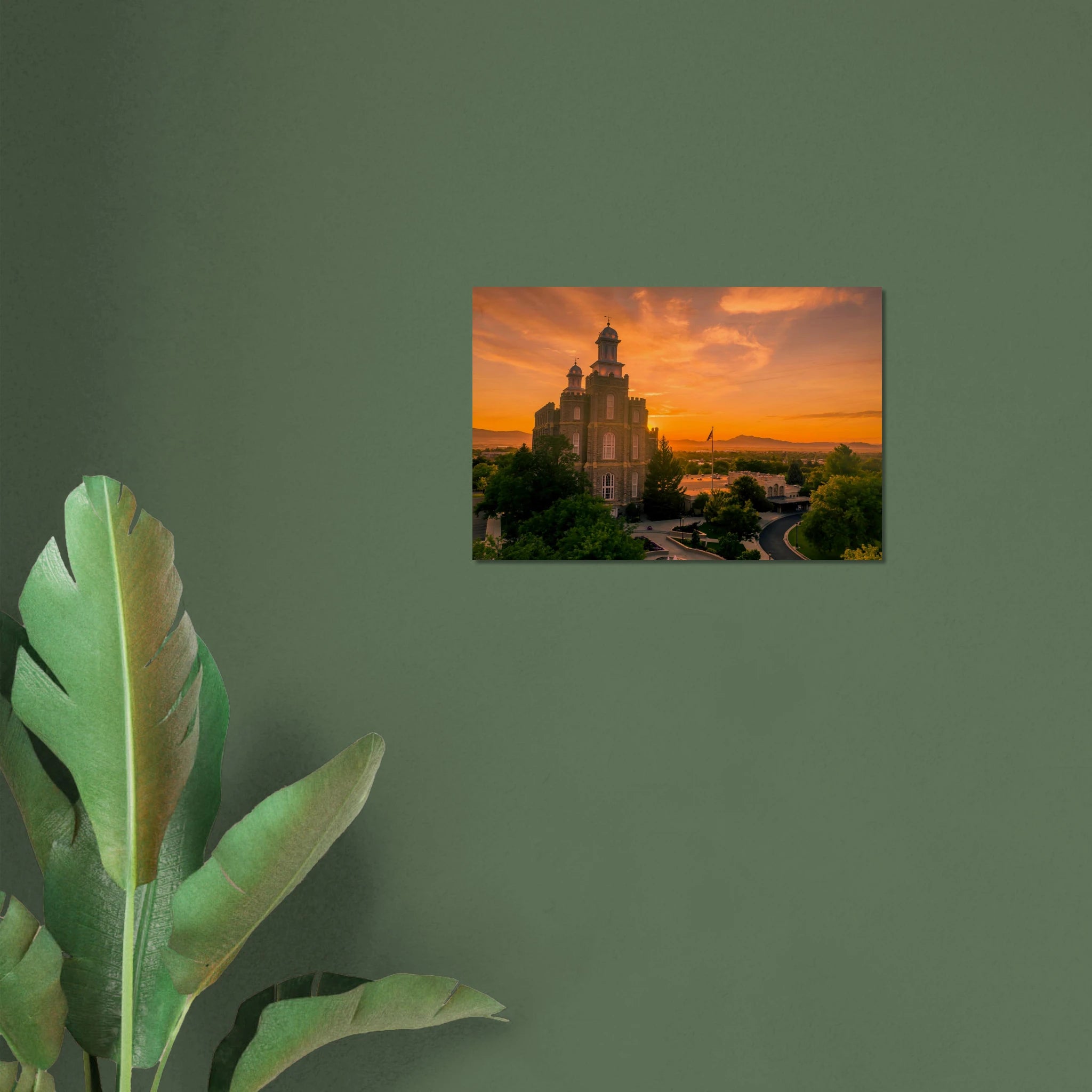 70f3ea9b-a369-4700-93a6-1dc5b99e8adf