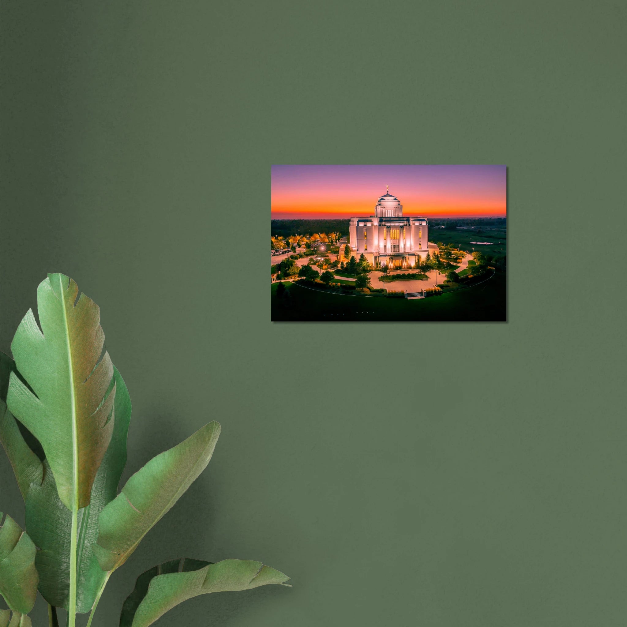 7138c5b9-4d20-4f0d-bc3a-4e49cb07fe2b