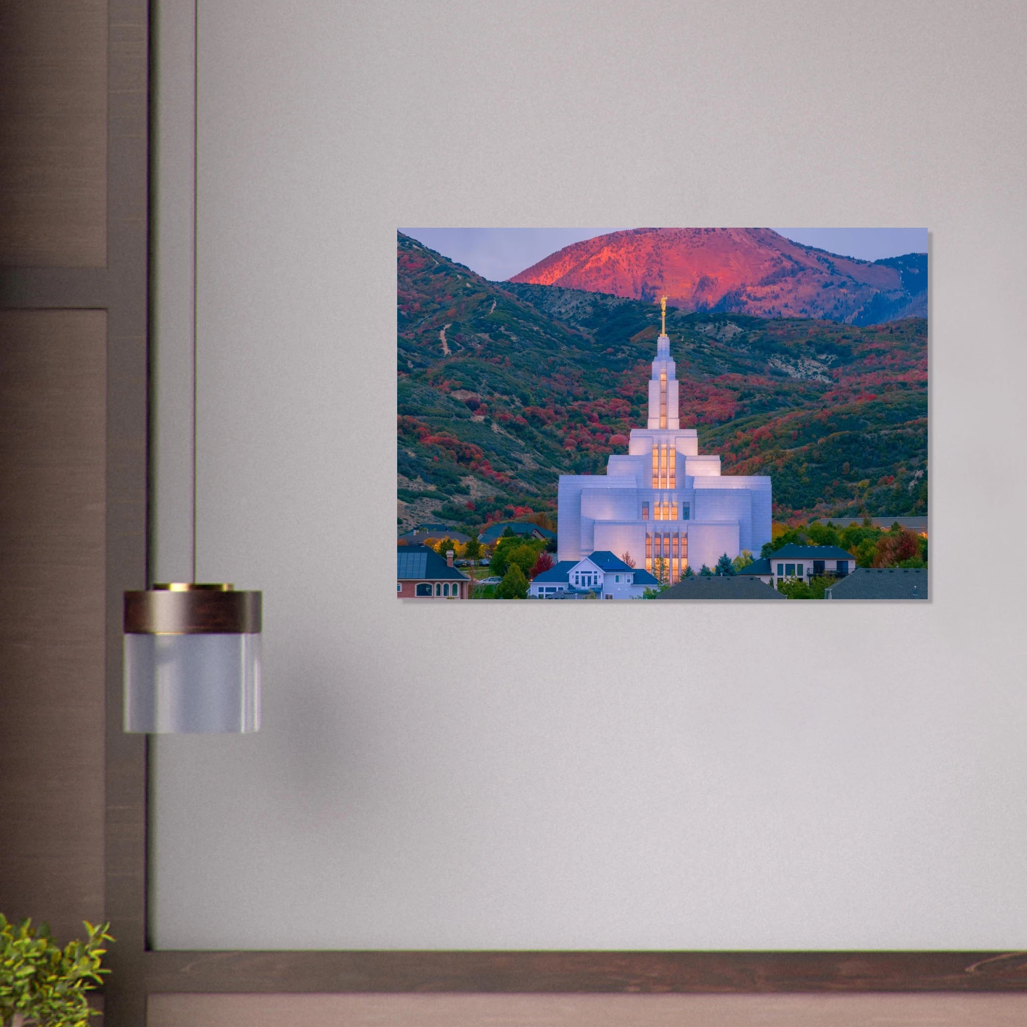 715b3bcb-544a-4a4f-86e3-beeab0a1e123