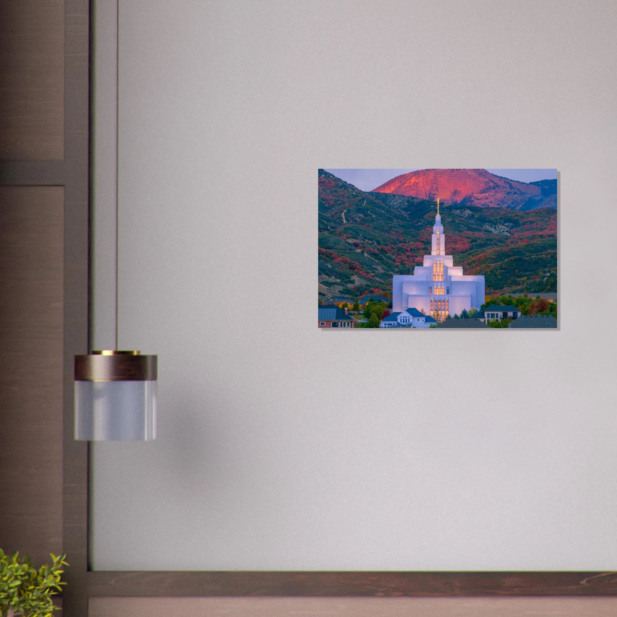 7219bc6a-df45-416b-844c-dee3372c13d7