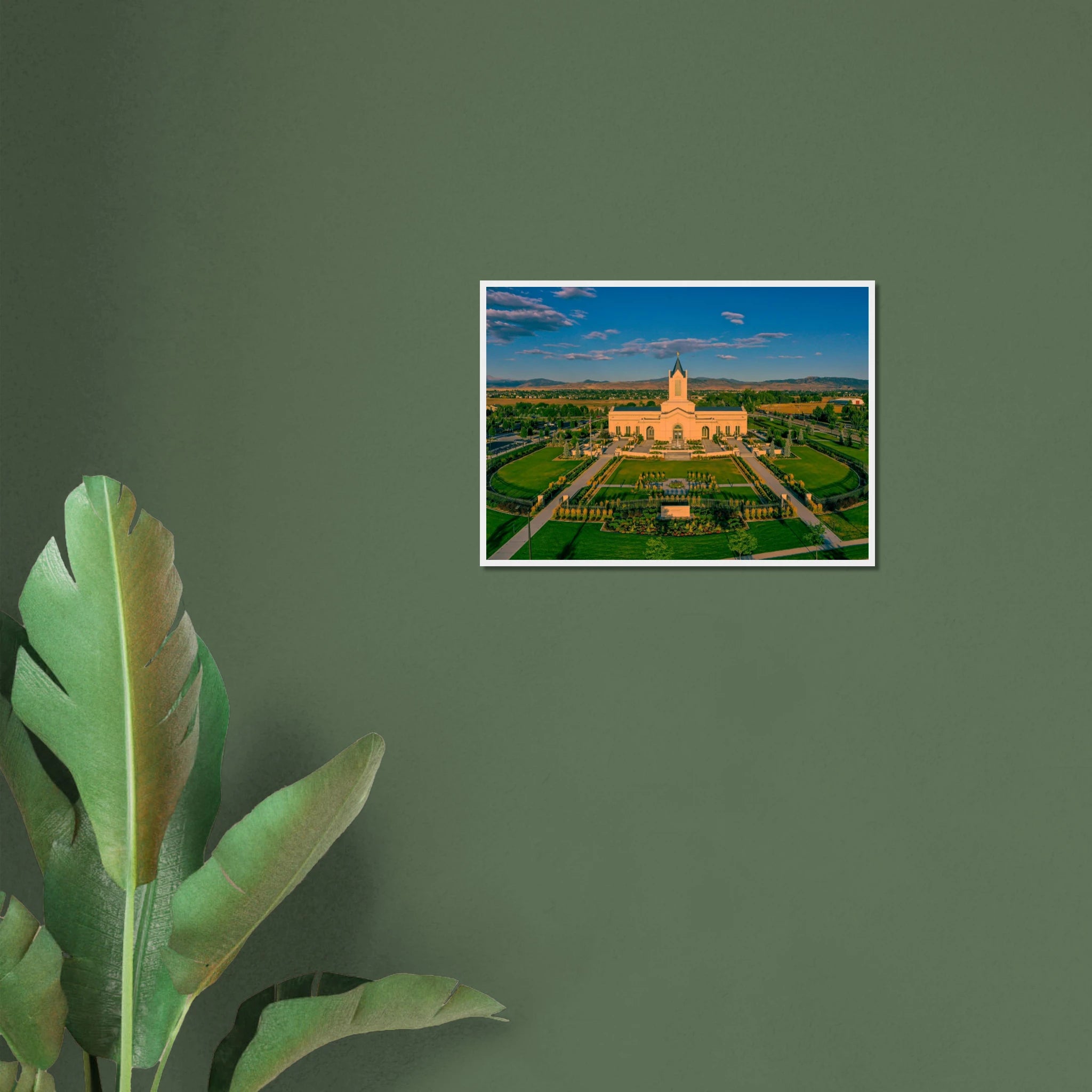 75bcabe7-6517-47d1-9953-ccaa6ec7b5b3