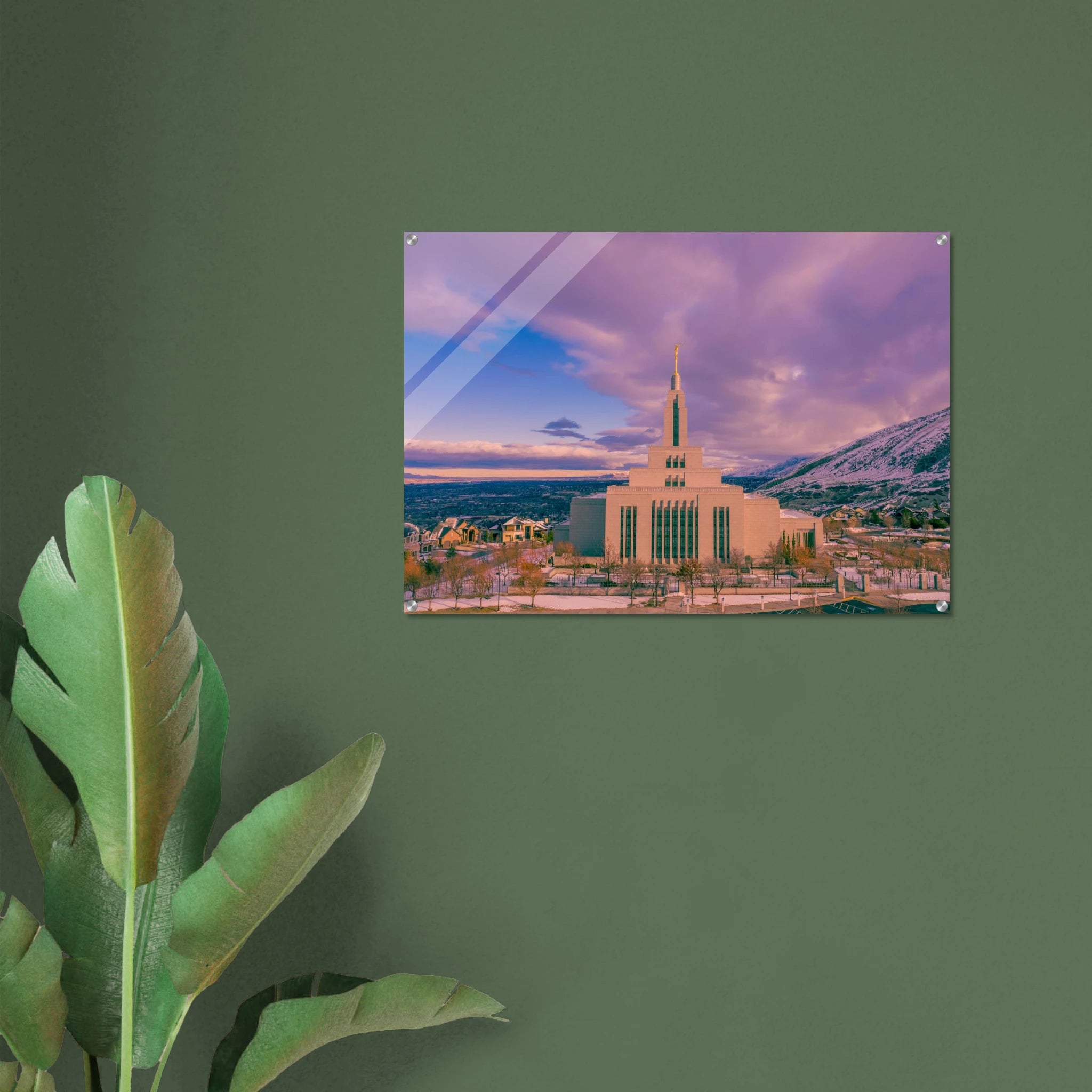 75ed6420-9534-4bc3-8f1c-0bbe0be231f9