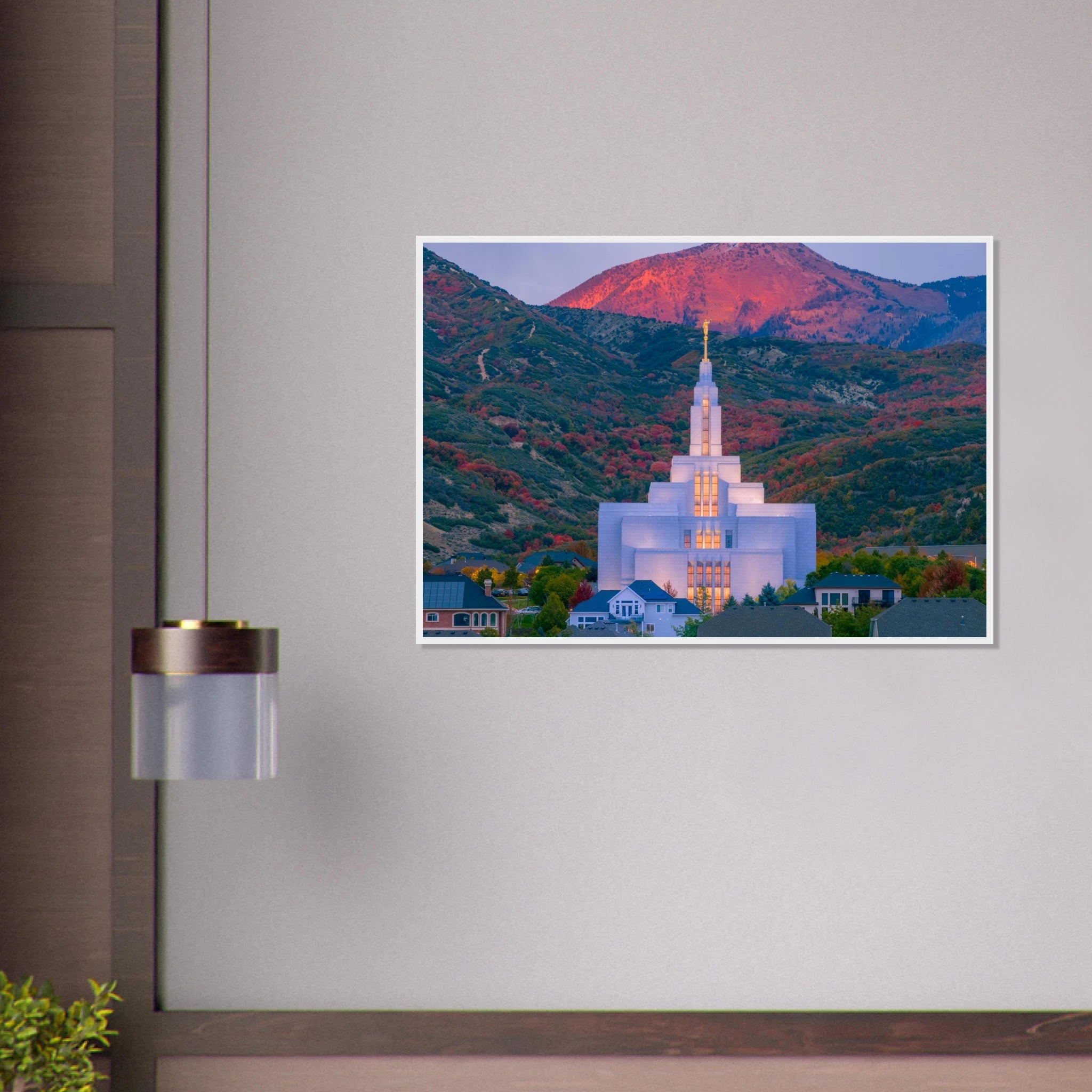 7ba1cccb-c877-407c-8f11-b06616dd16f1