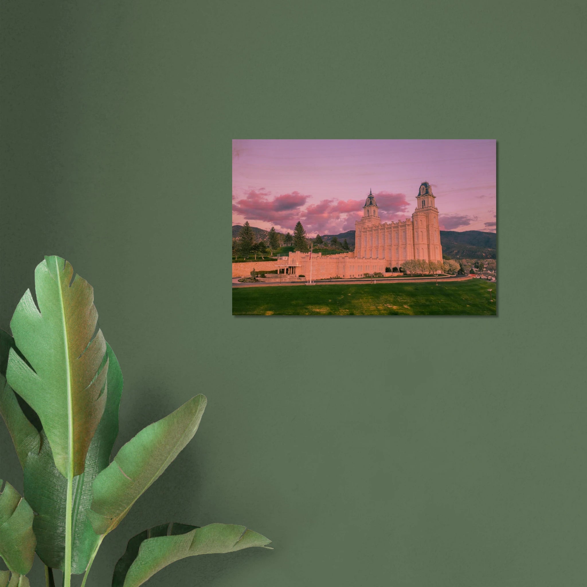 80eae0d4-bfa4-451f-a8f7-fb043d4f4725