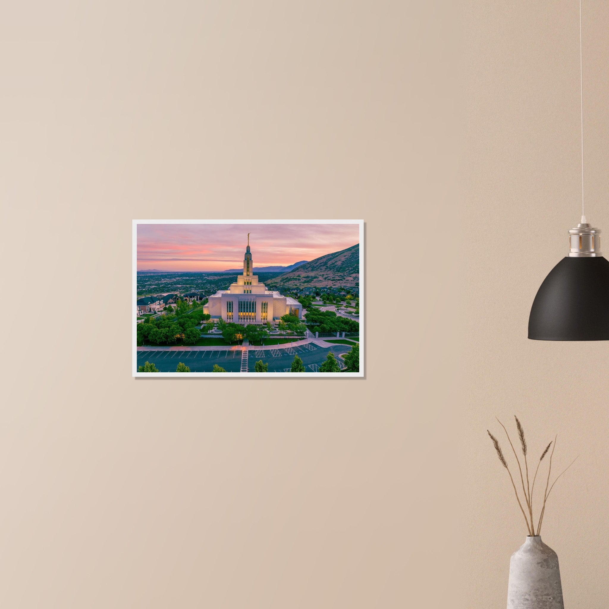 848f9542-1ff7-4103-877c-60a06fbf6c47