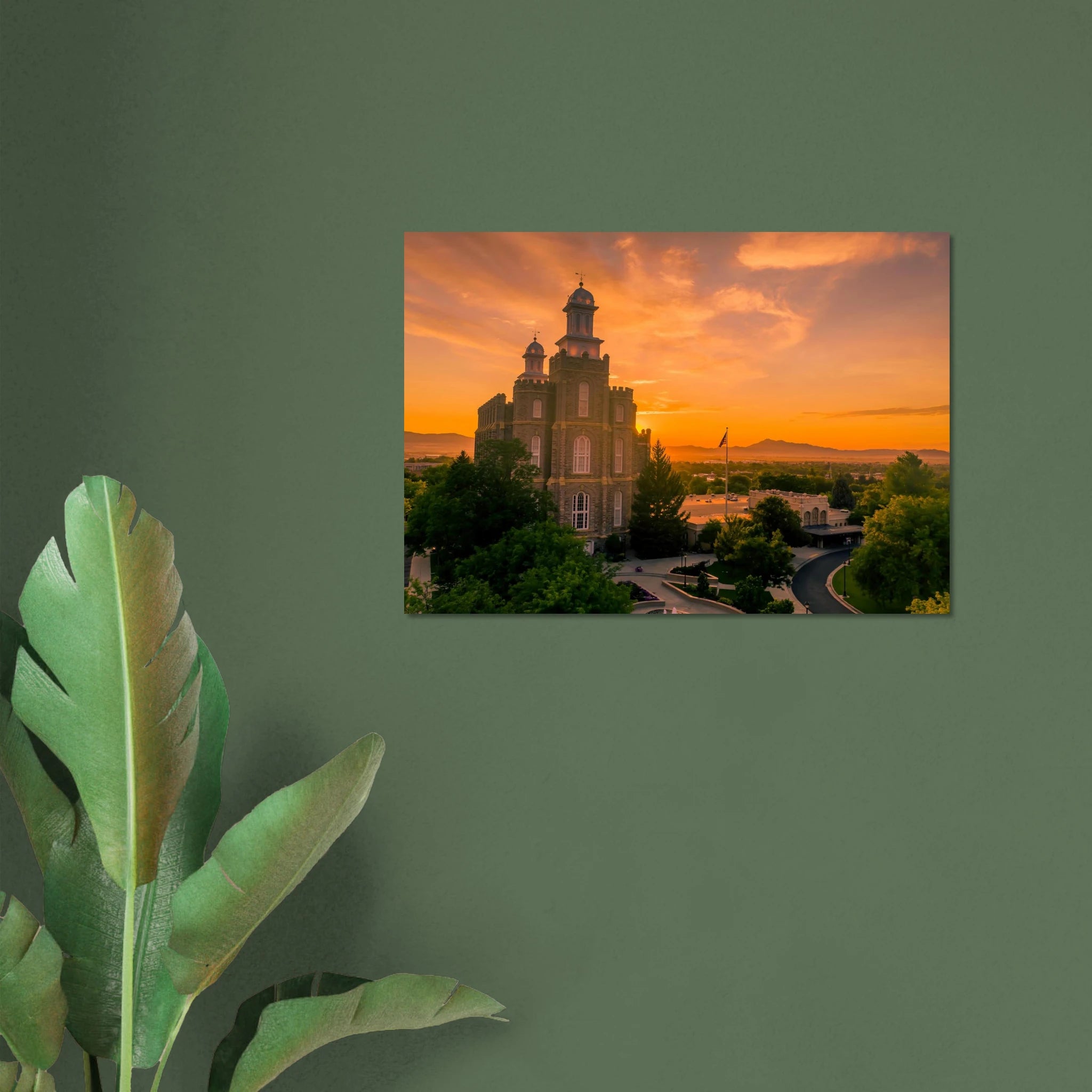 8612a4e1-83ab-49d3-a2b2-9ff0637283f2