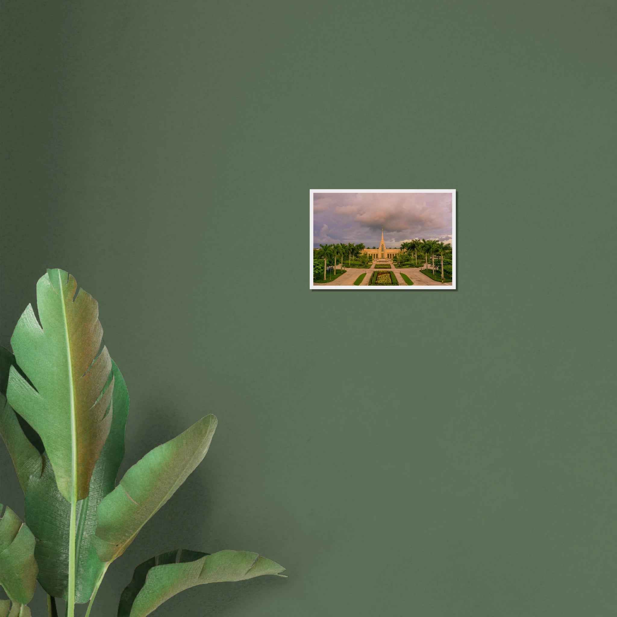 86807780-0690-41fc-b63f-a073405003a4