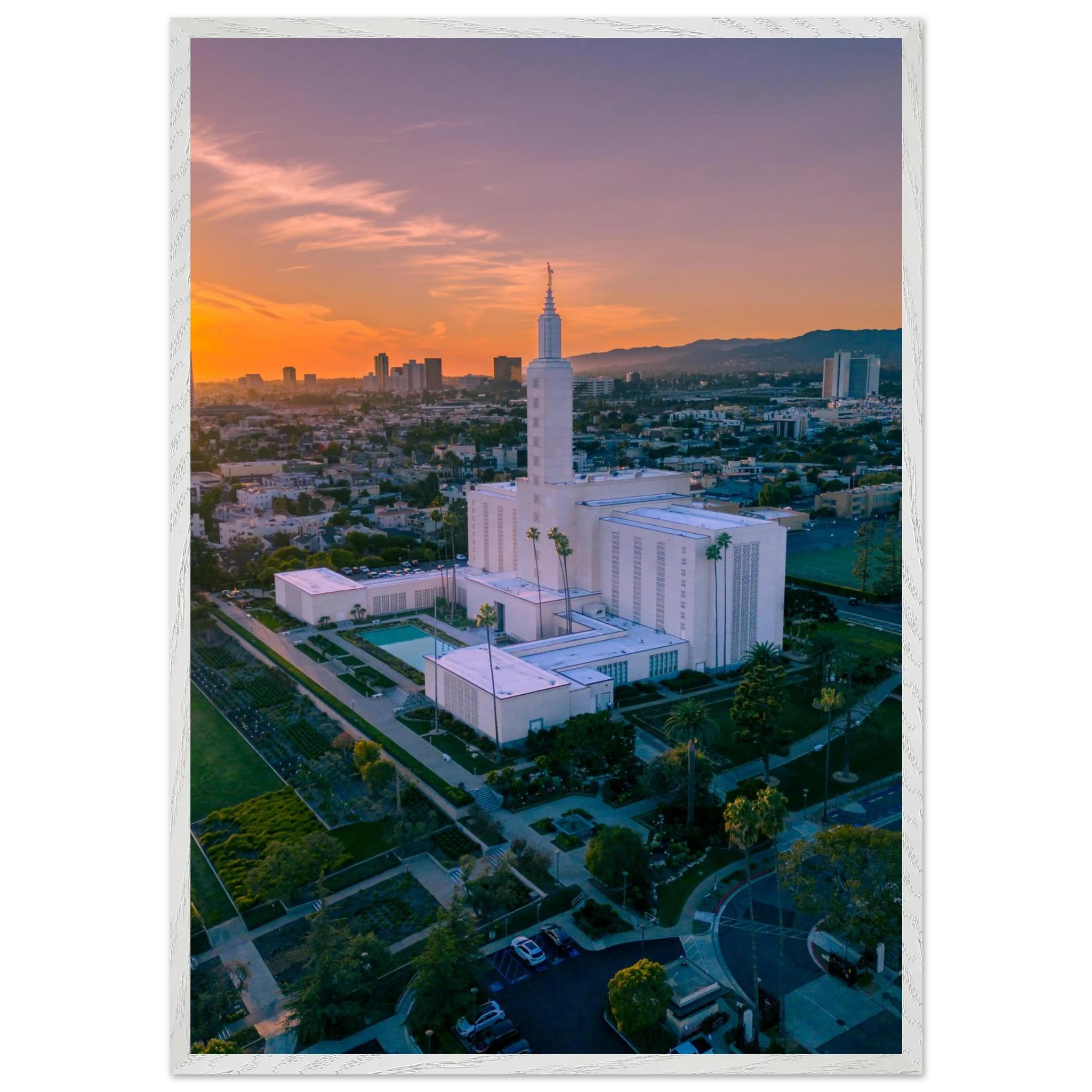 8994a538-6019-4829-9f84-50ccf9583564