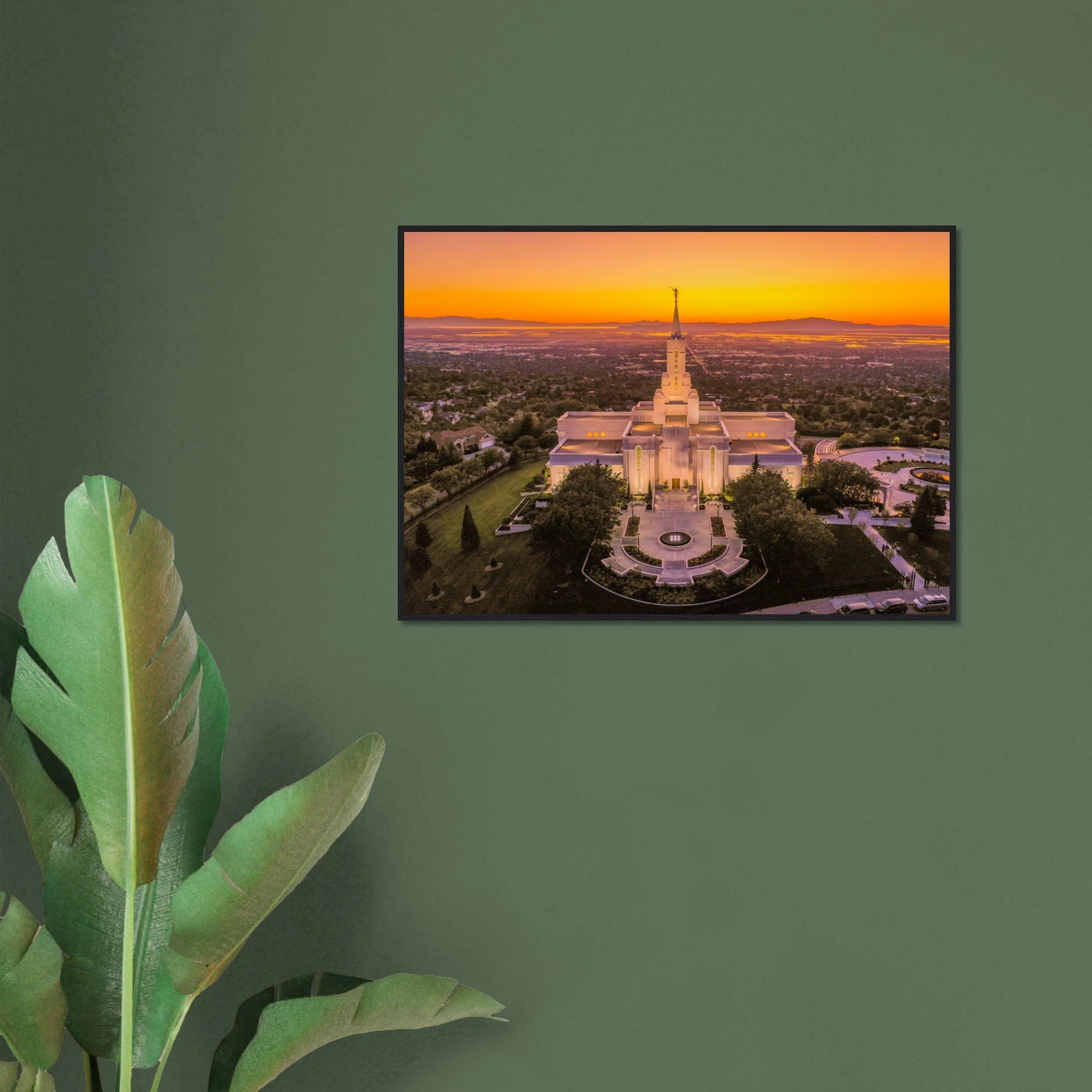 8a00ca71-18c1-4206-8805-b633cbaf5d12