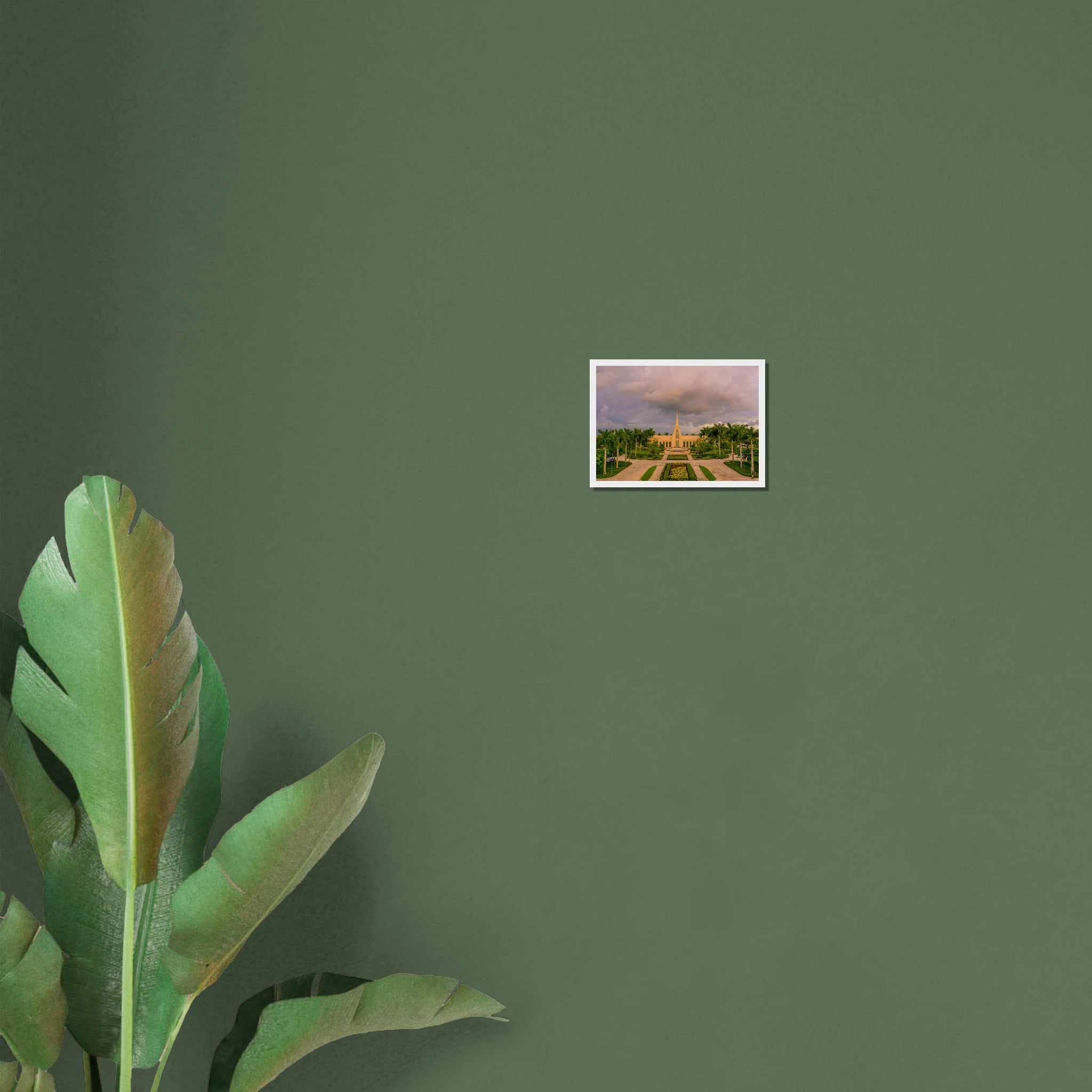 8aa6da3c-f2fc-4141-8391-56fc6046993f