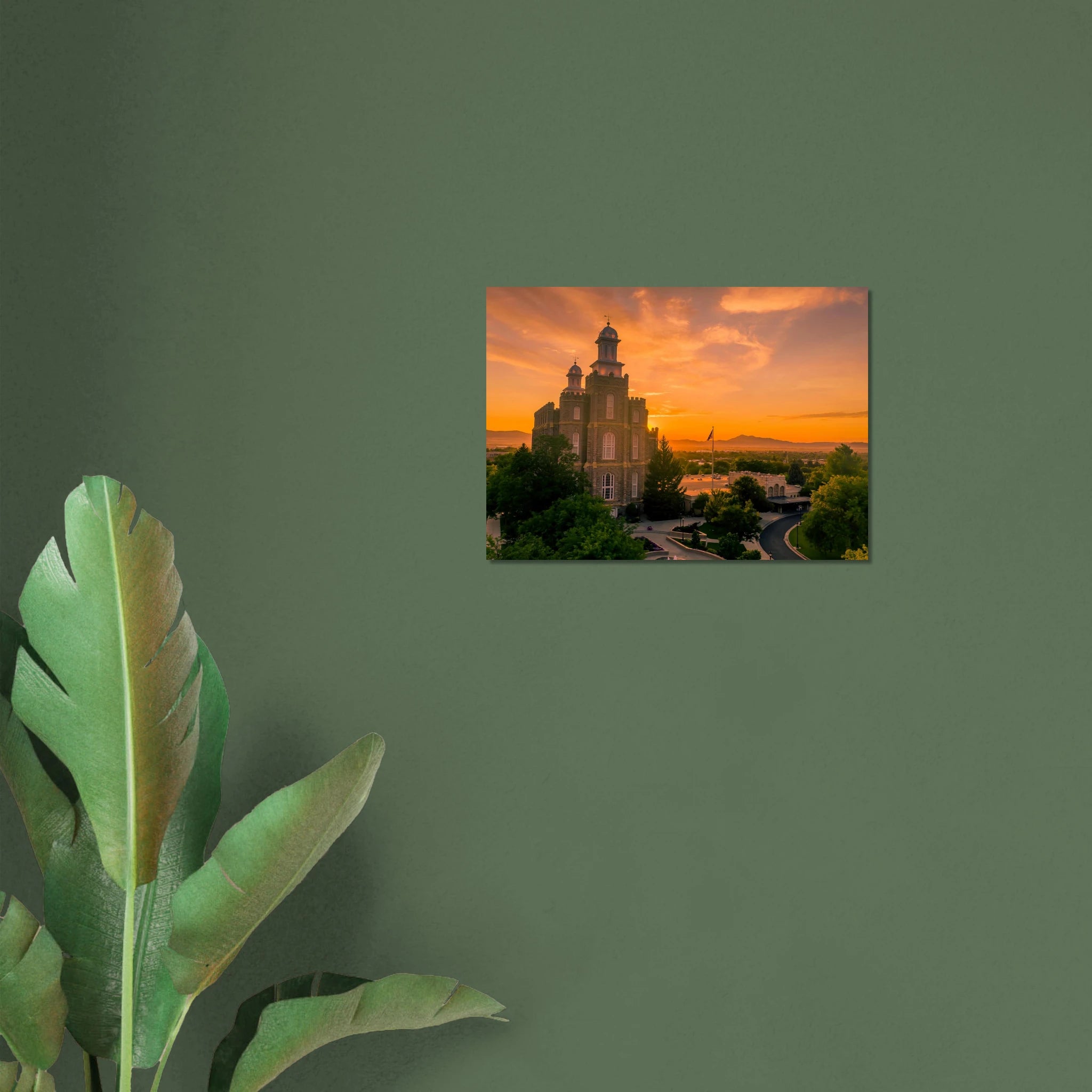 8af546ad-8678-4bc0-bb4f-9c83c13a1b57