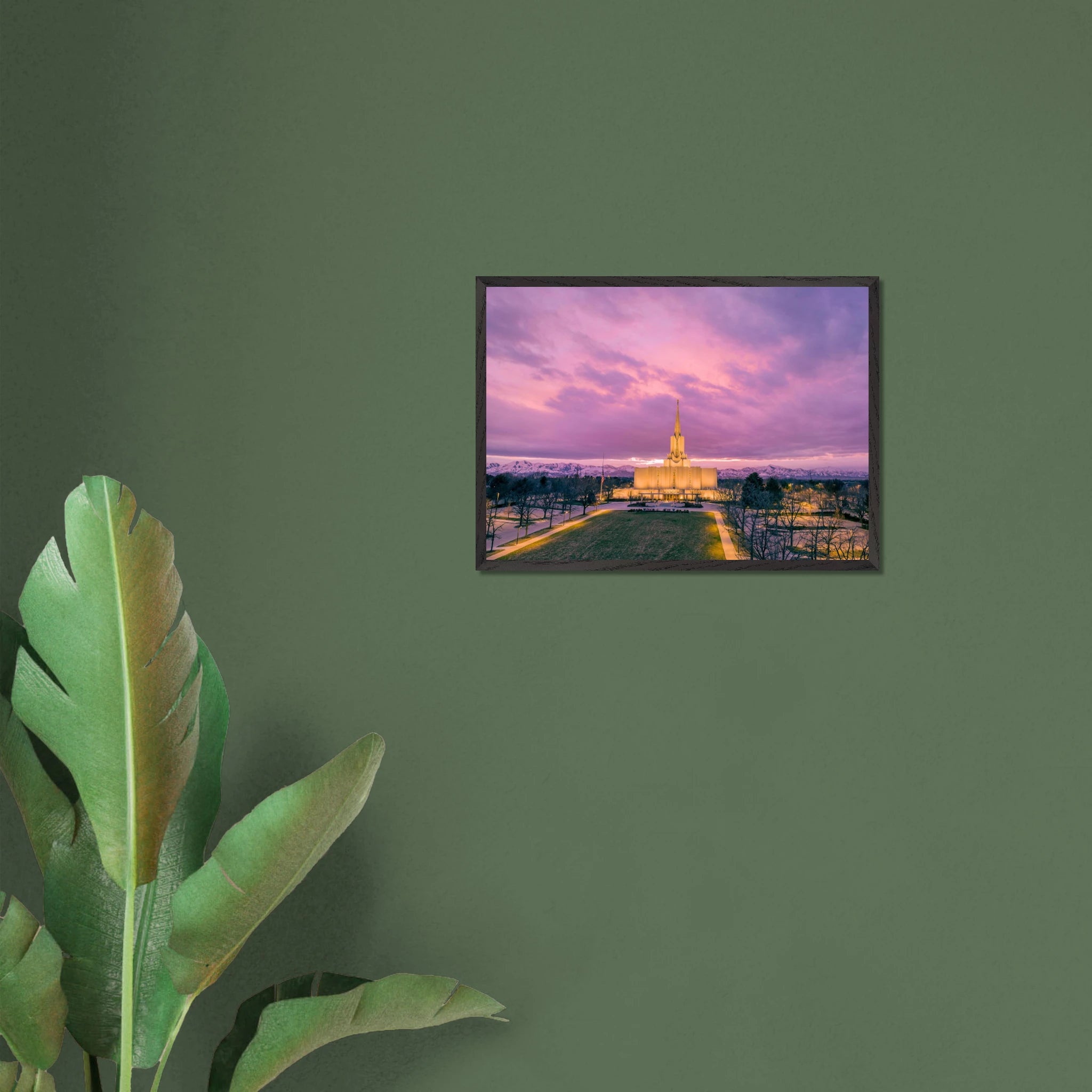 8d8f004e-a311-4dee-b728-ae71c358c4e1