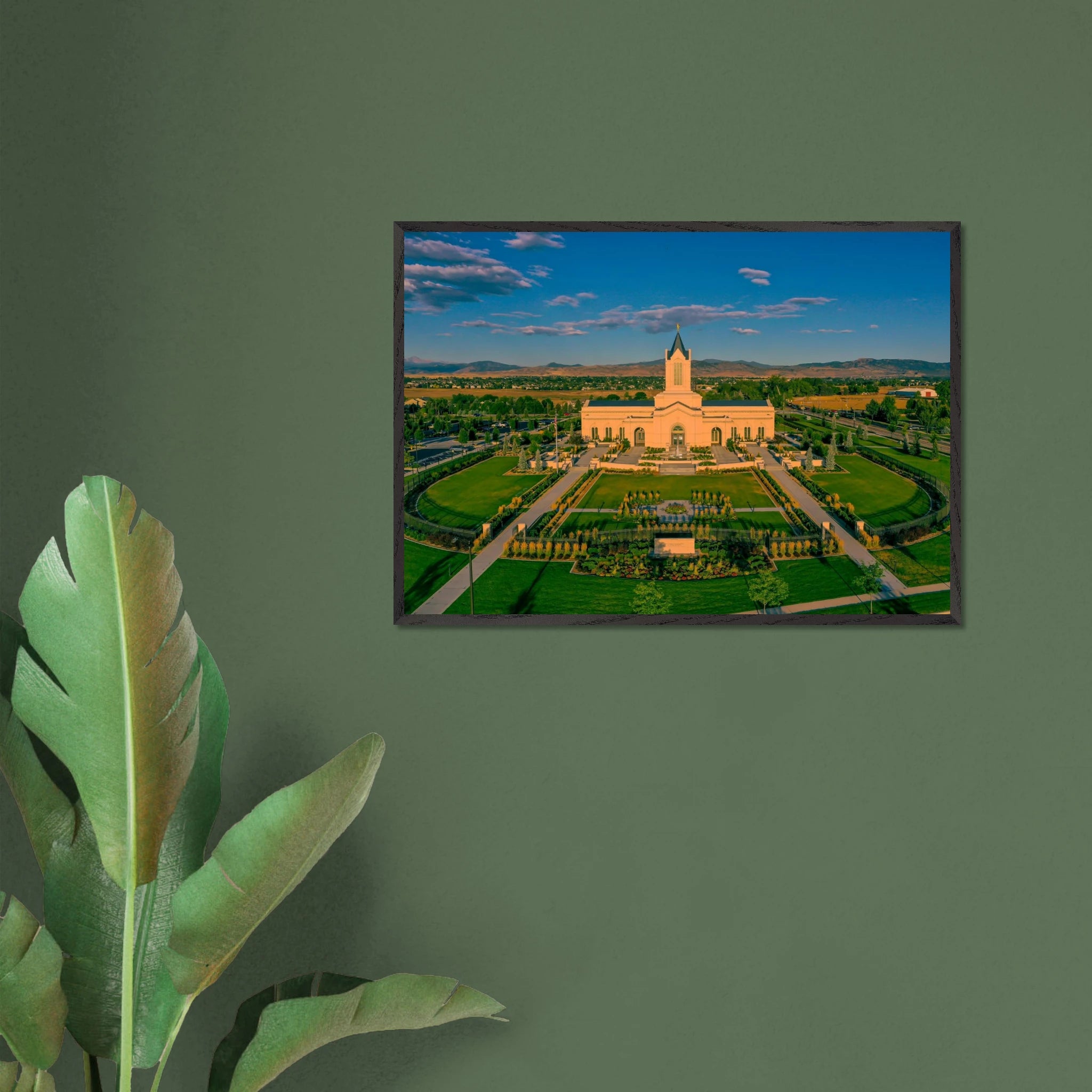 8e548a64-3172-4495-97b8-59dcda7d613b