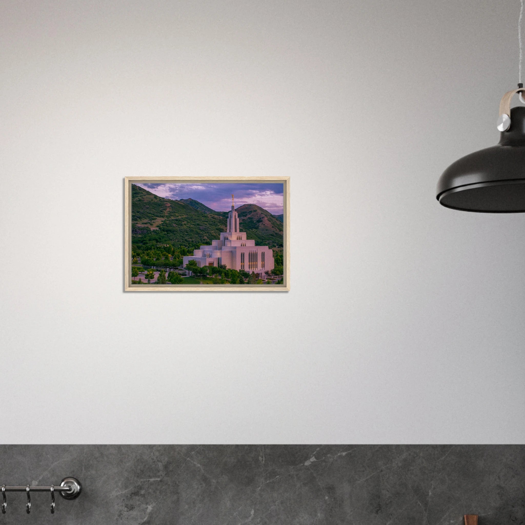 8e555ddb-491b-4046-8cfe-e61a407f086f