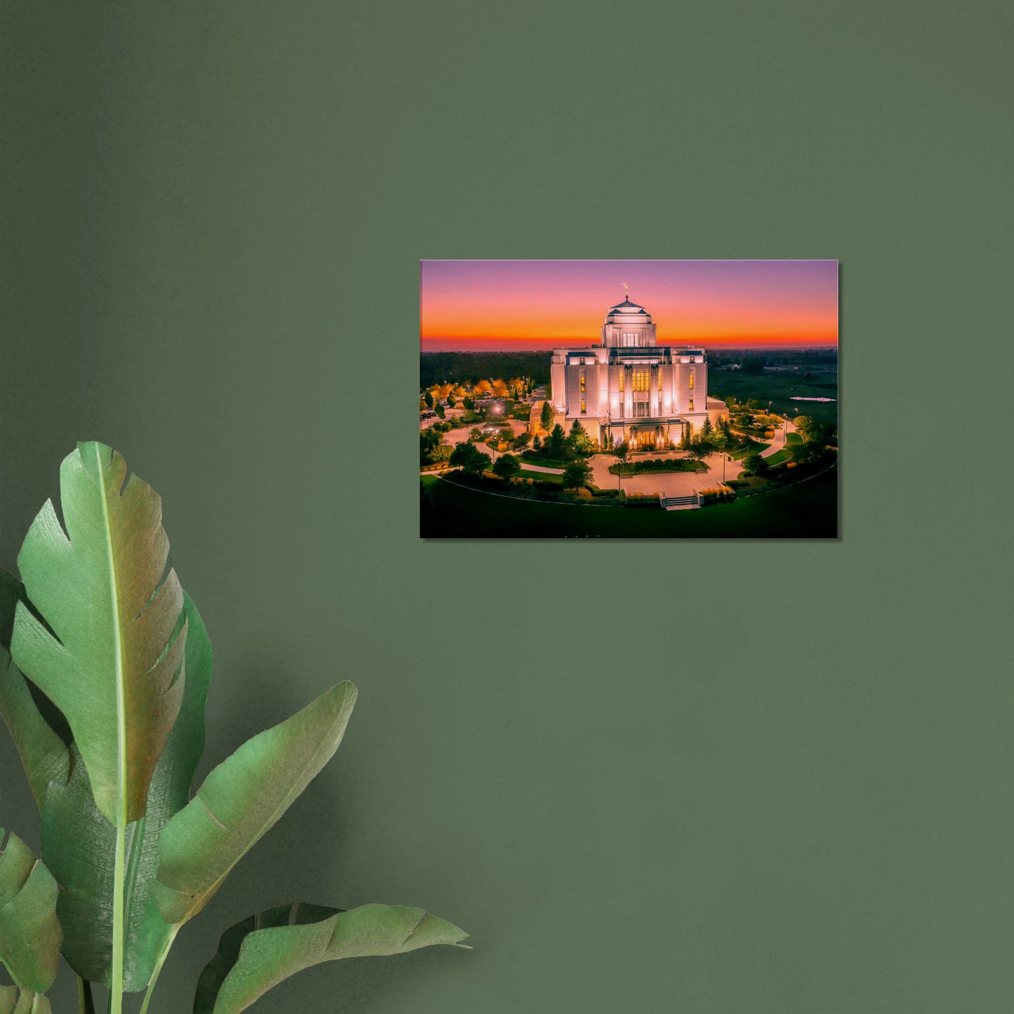 8eb44fcc-164d-4831-b9a9-d2b4a482eea6