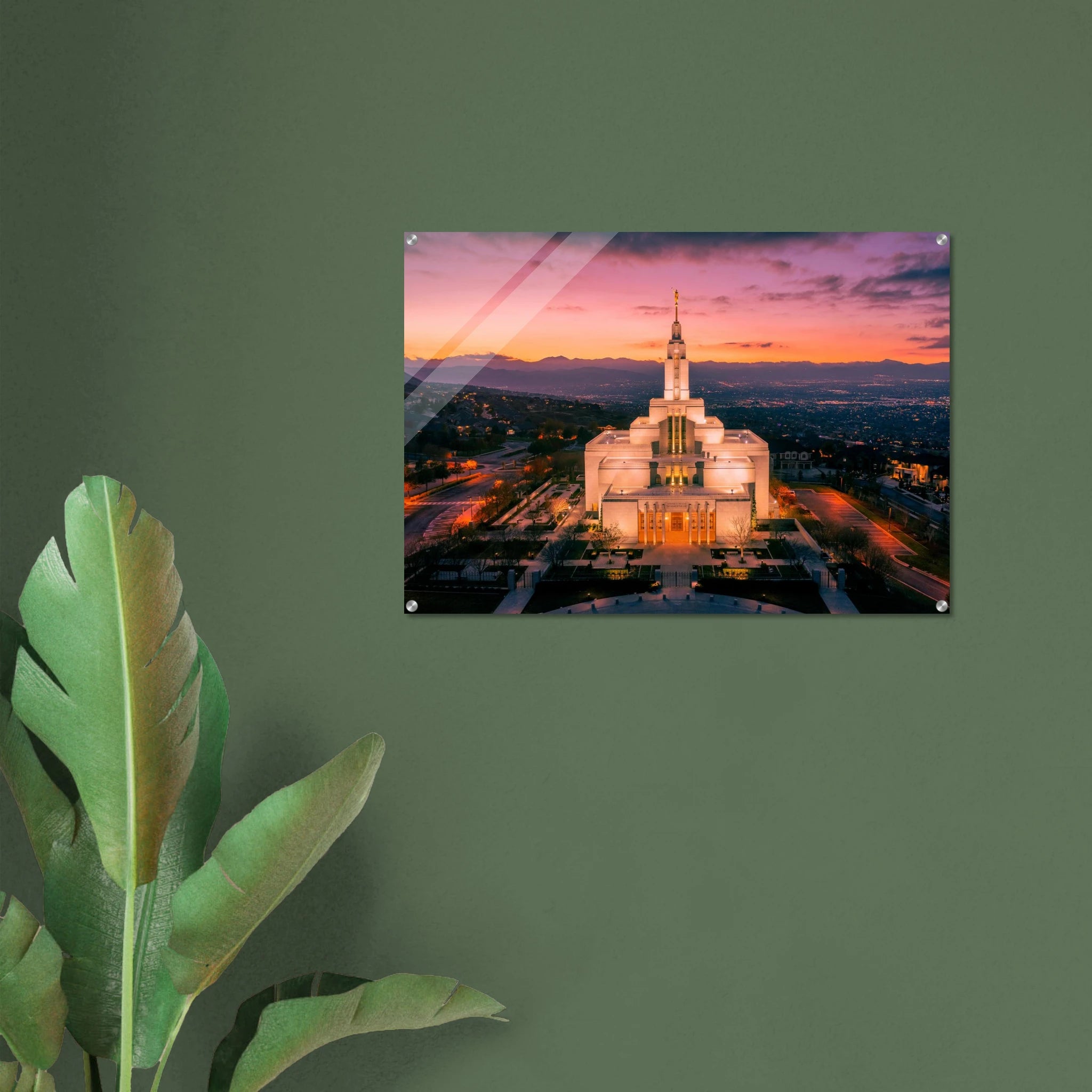 8f45b9e5-d6c3-4503-9cef-a696320a93dc