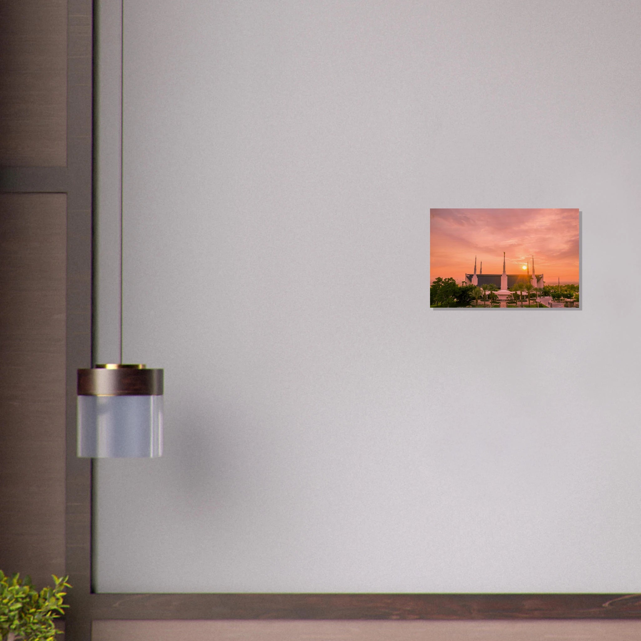 8f609ced-afa5-4f7d-aa95-10b967529fea