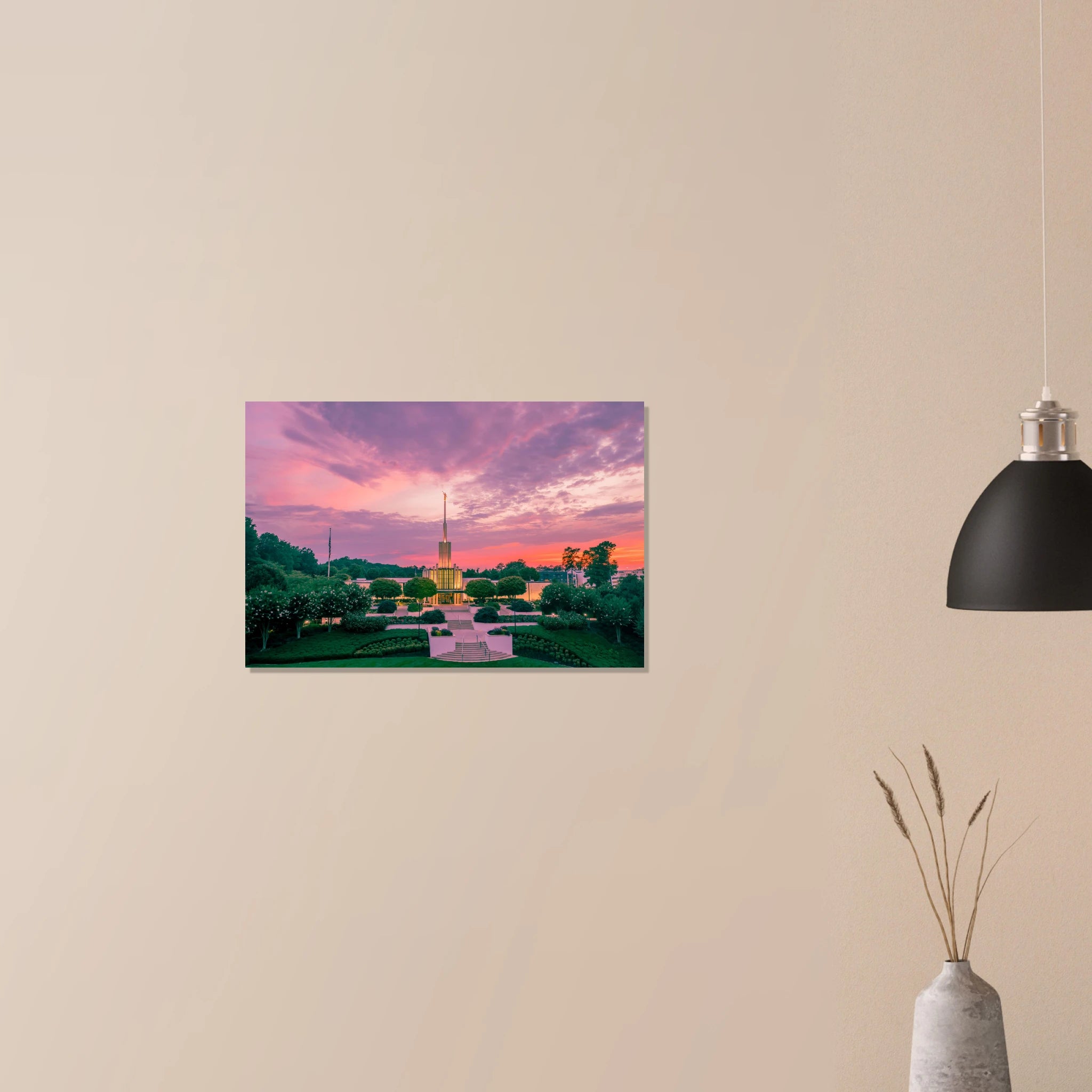 9cdb2368-9918-419f-bde6-ed04d593d947