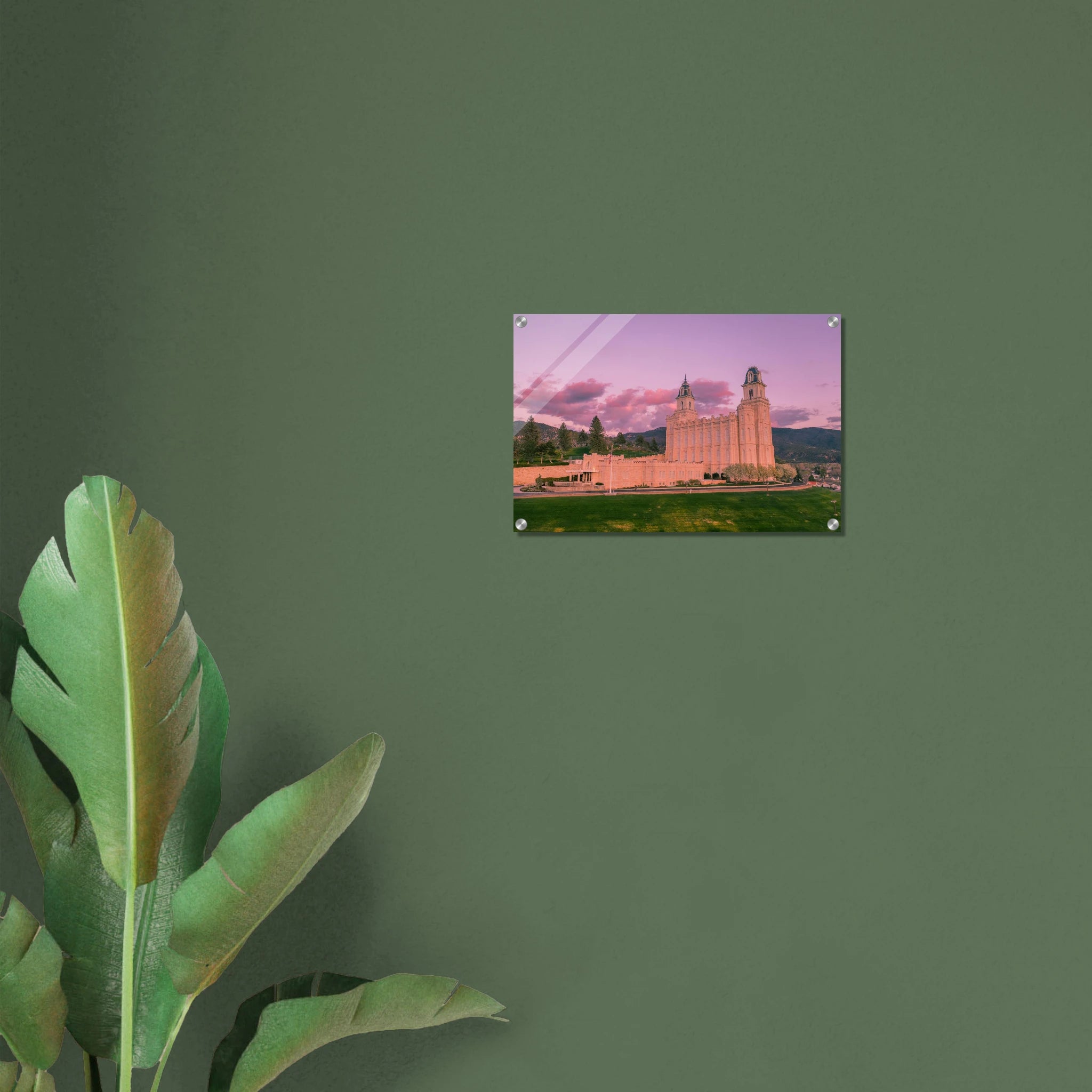 9ddc102a-0b4a-4074-ab59-245ce31a67c9