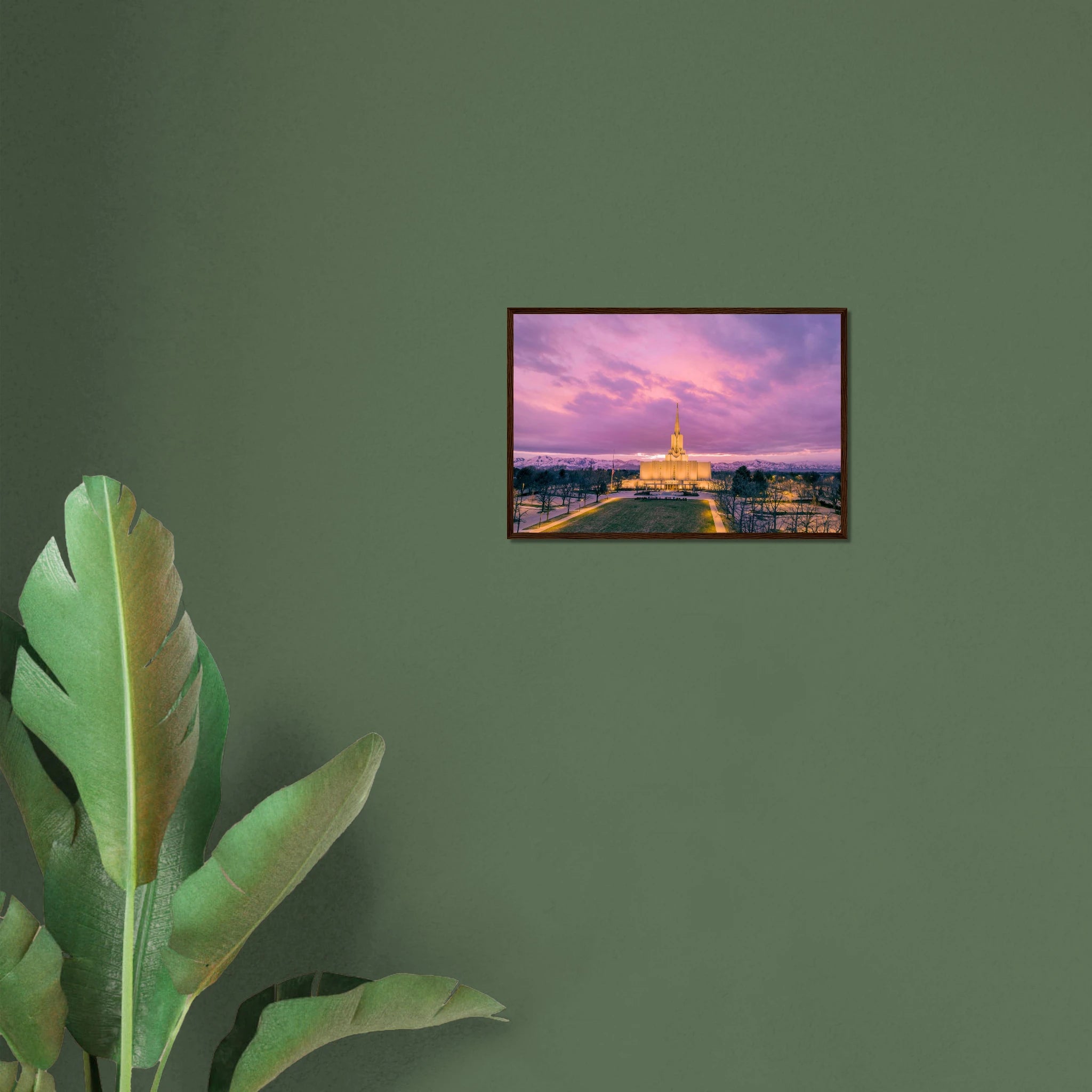 9df6952a-74aa-4c3b-a122-56e75ba6bf98