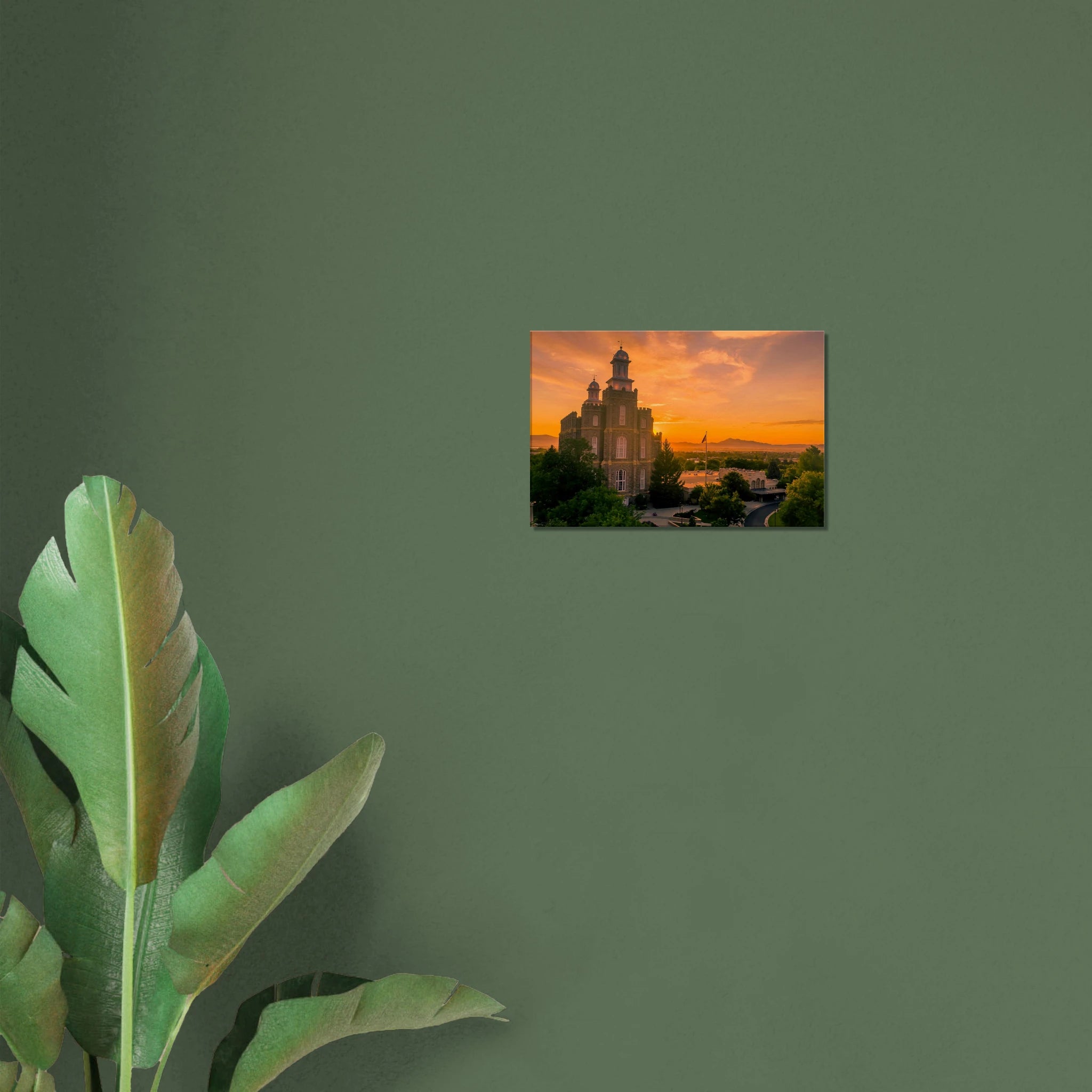 9e658fdf-7364-4a58-8502-f126de0c7236