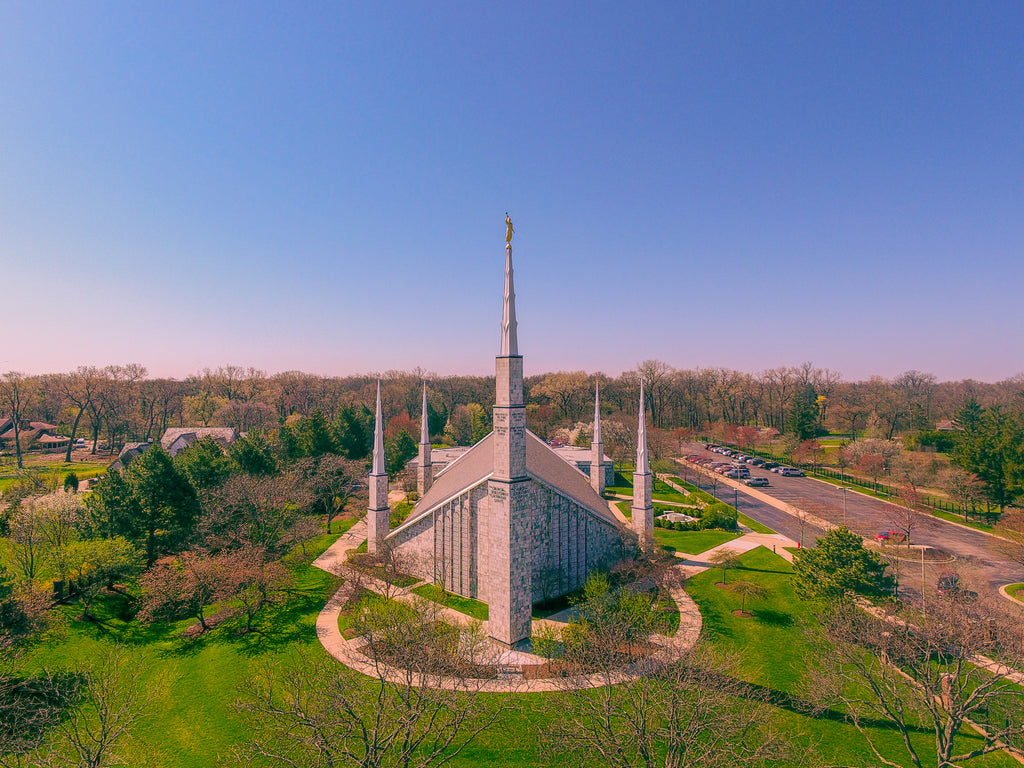 Rising Above the Grove