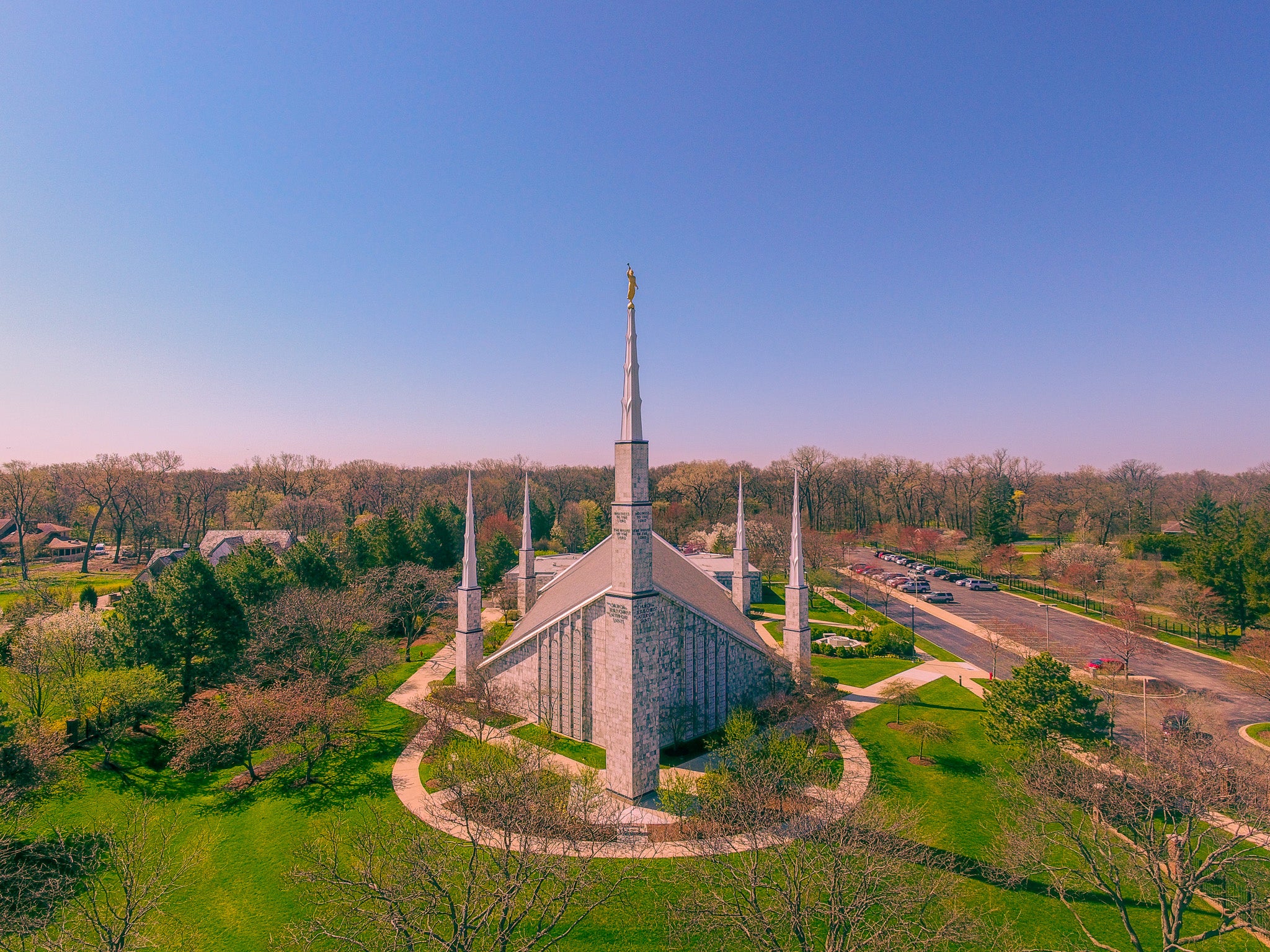 Rising Above the Grove