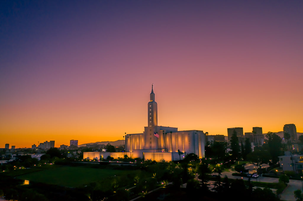 Light That Leads Home