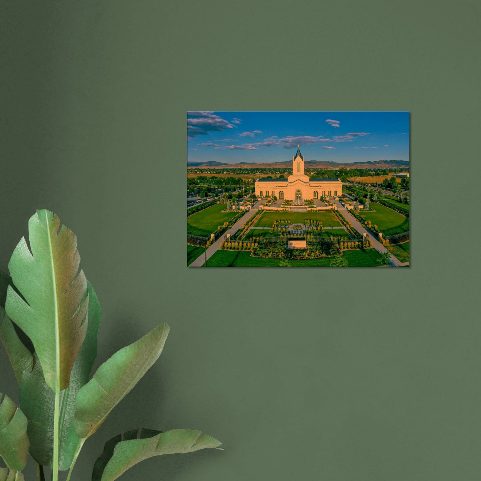 a3134b6f-4717-47ba-982d-5efc043997a4