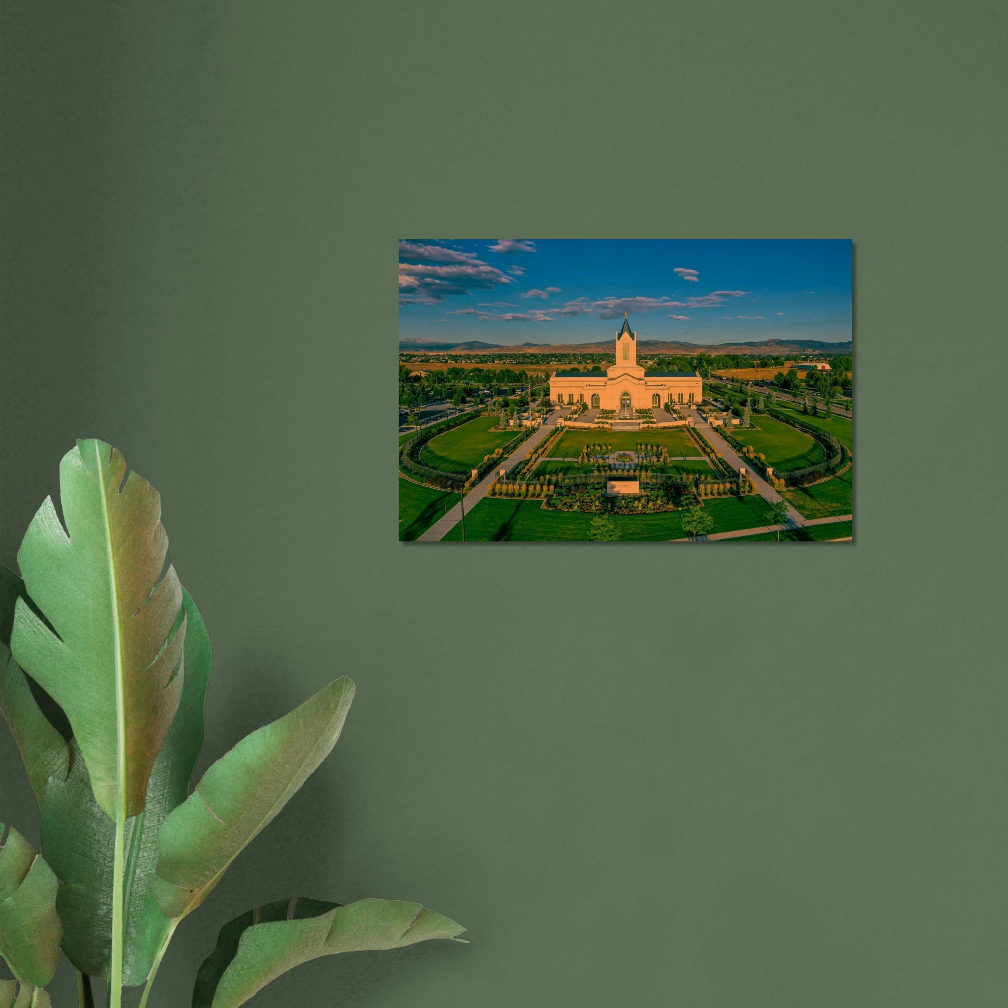 a4f25632-b88b-4460-91b1-f45a9b3011ce