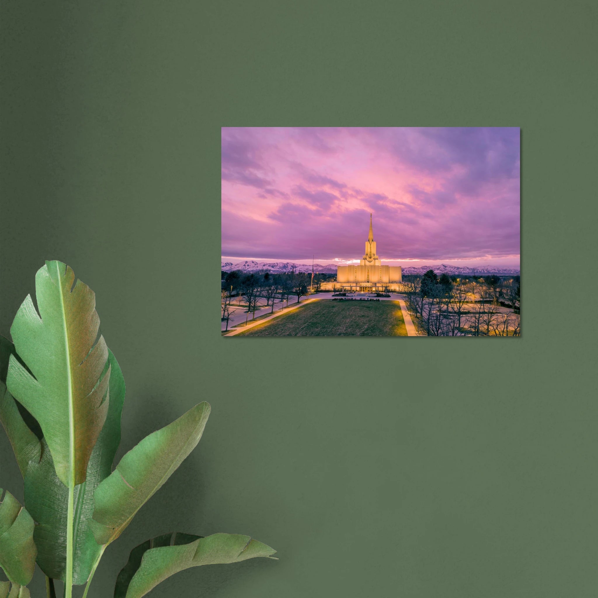 a7c317ed-c8e6-4d27-a48b-5b94209eb1fd