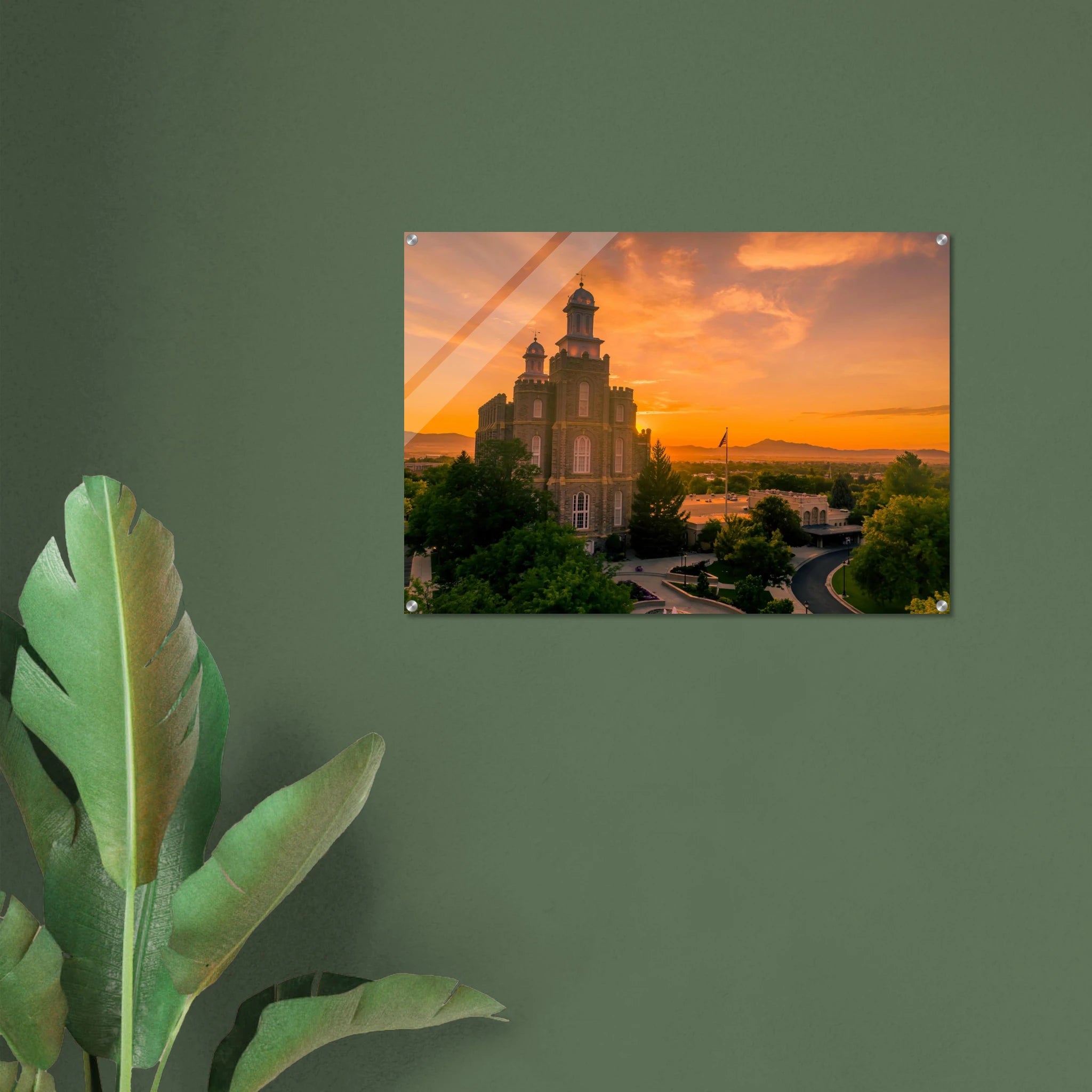 aa803c00-8a81-4192-94bd-84c78c3b862b