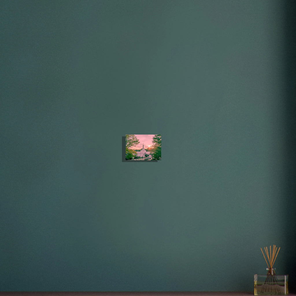 ac90e530-a4f4-4653-8d04-73e31fa1a38b