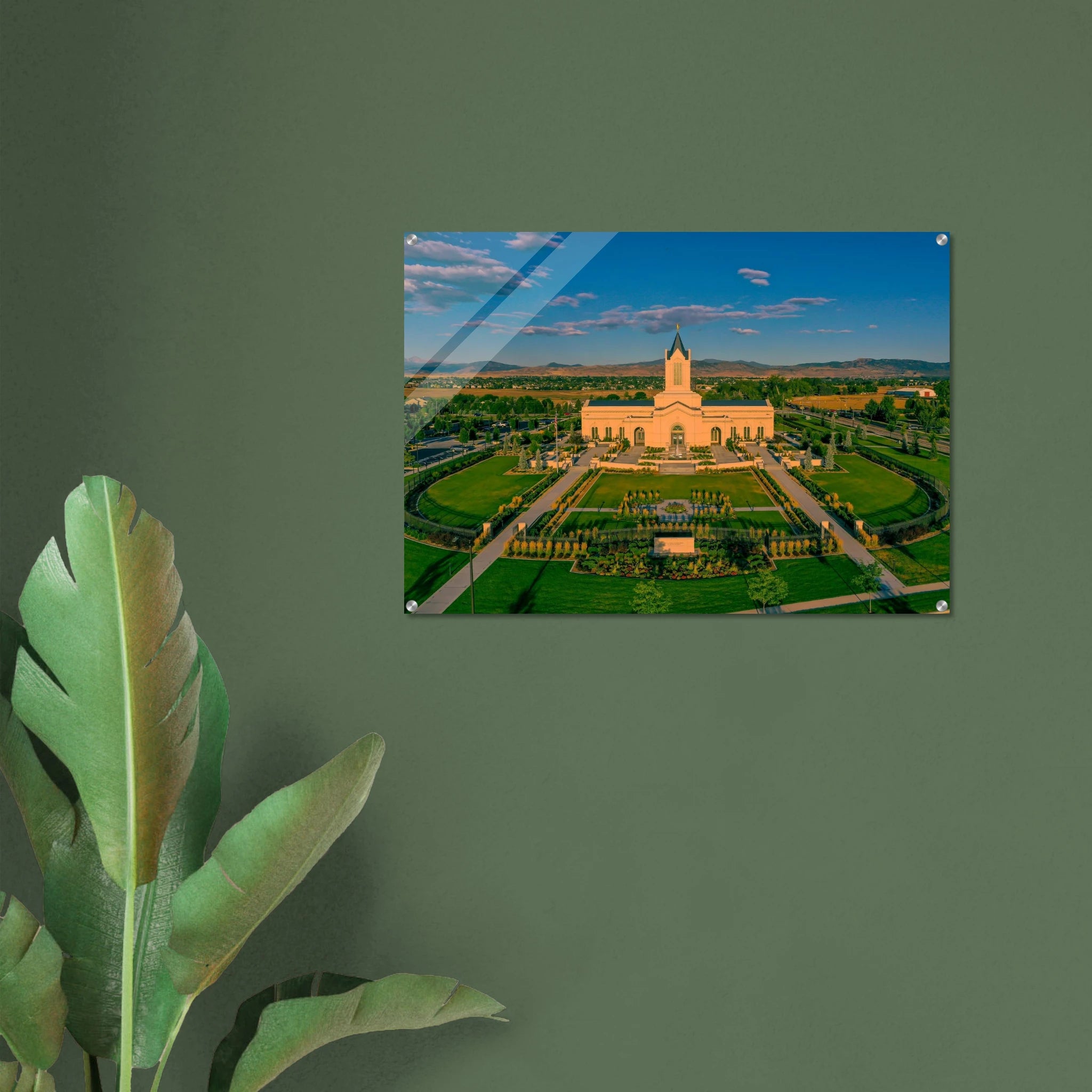 afe19f7e-606c-491c-ac2f-d028226e7c13