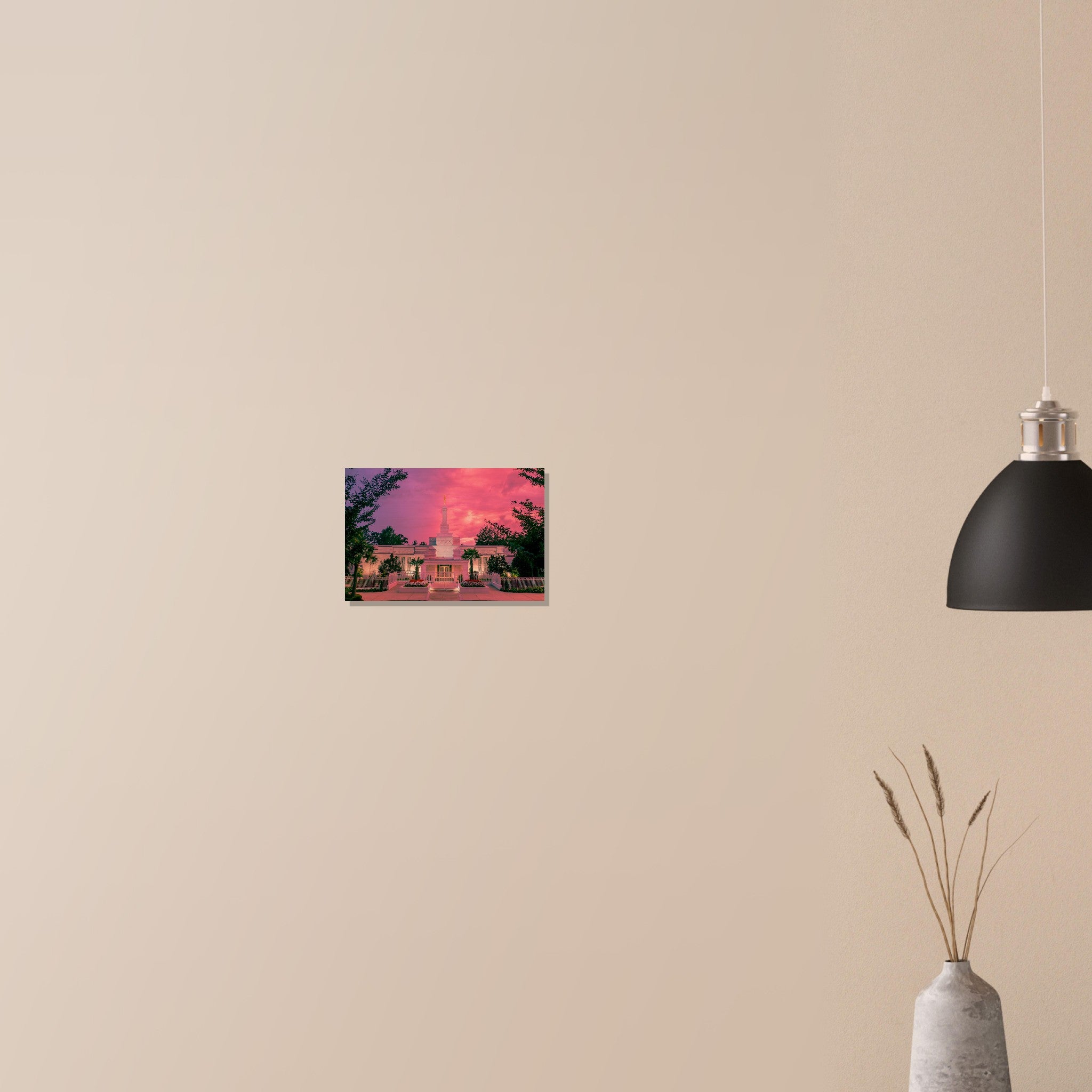 b2409742-66e3-4108-a528-78a09a054e94