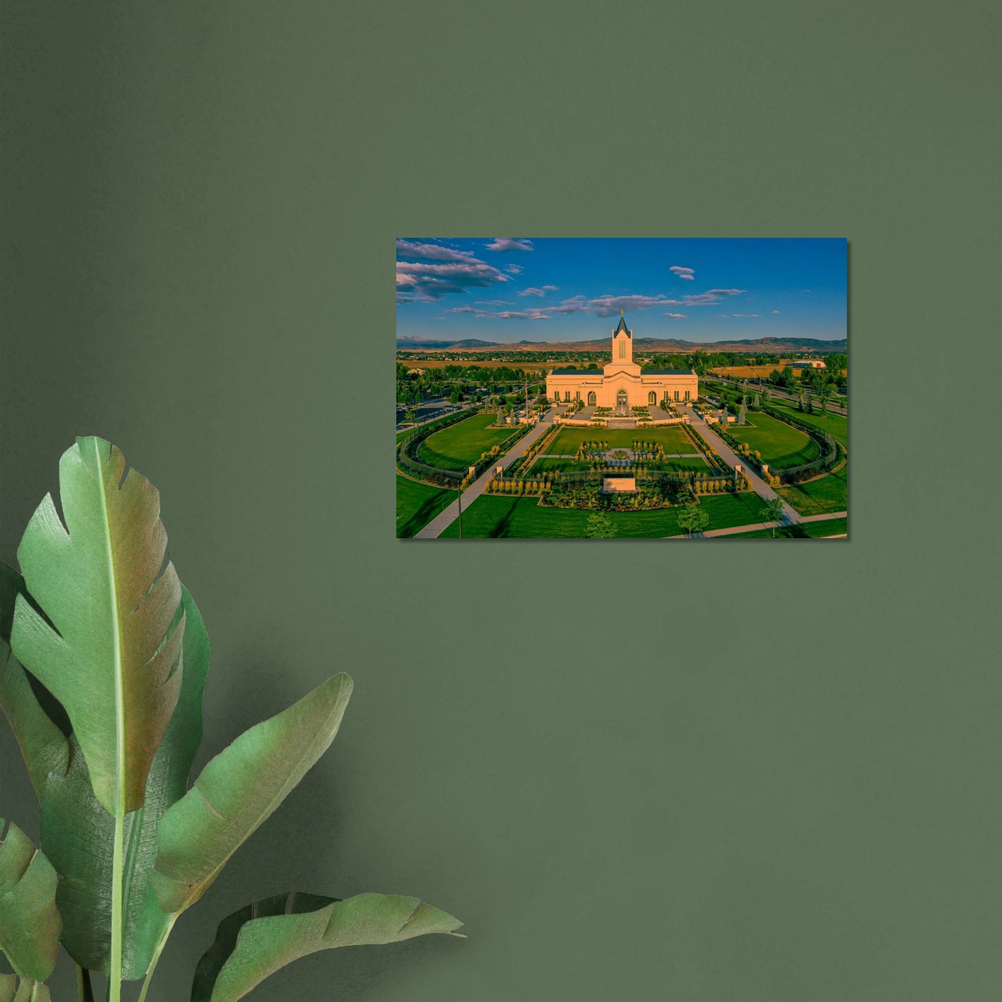 b26b7782-c445-4b6c-bff8-875f5a3d0ee6