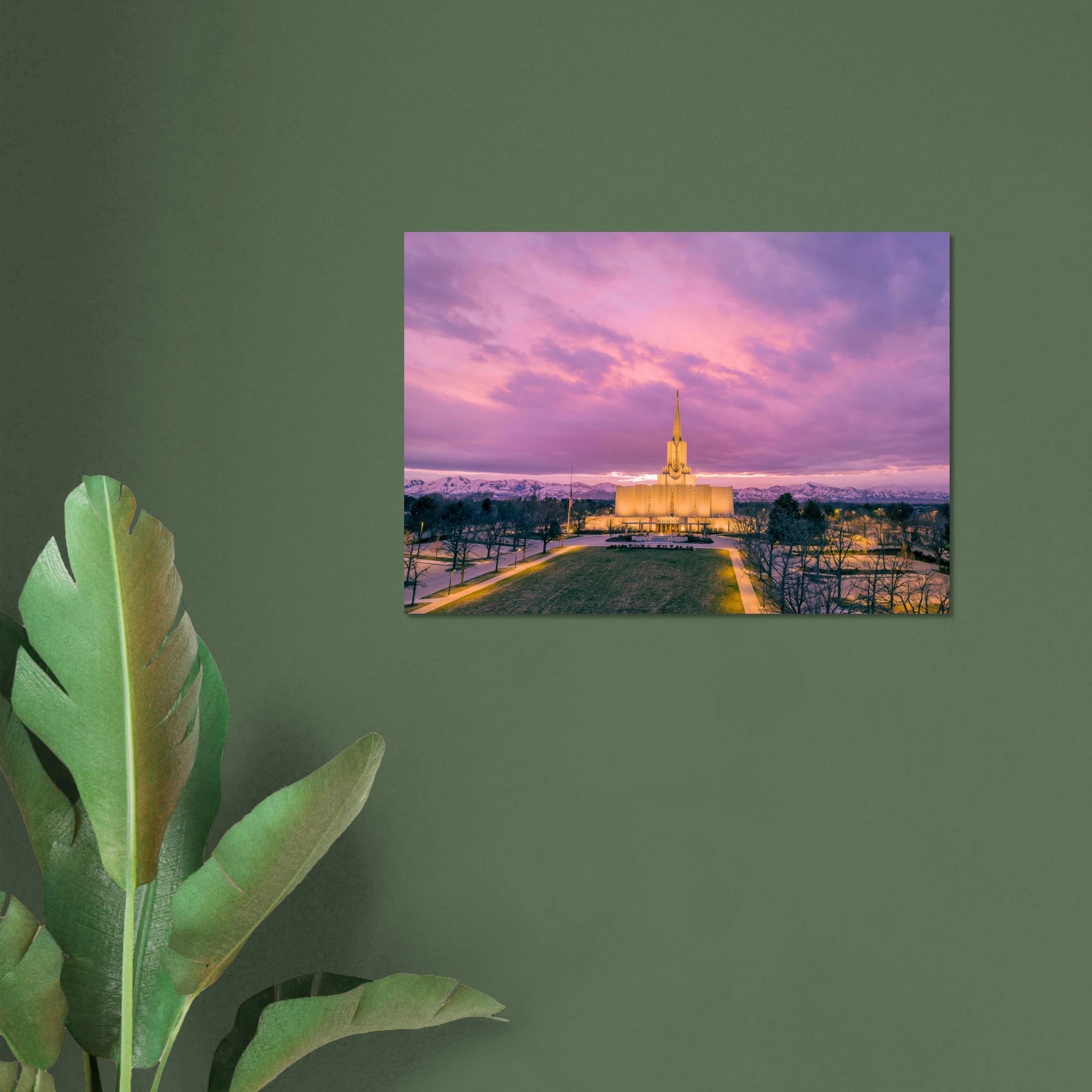 b361b961-8a94-450c-a9ea-86bfa3e24e56