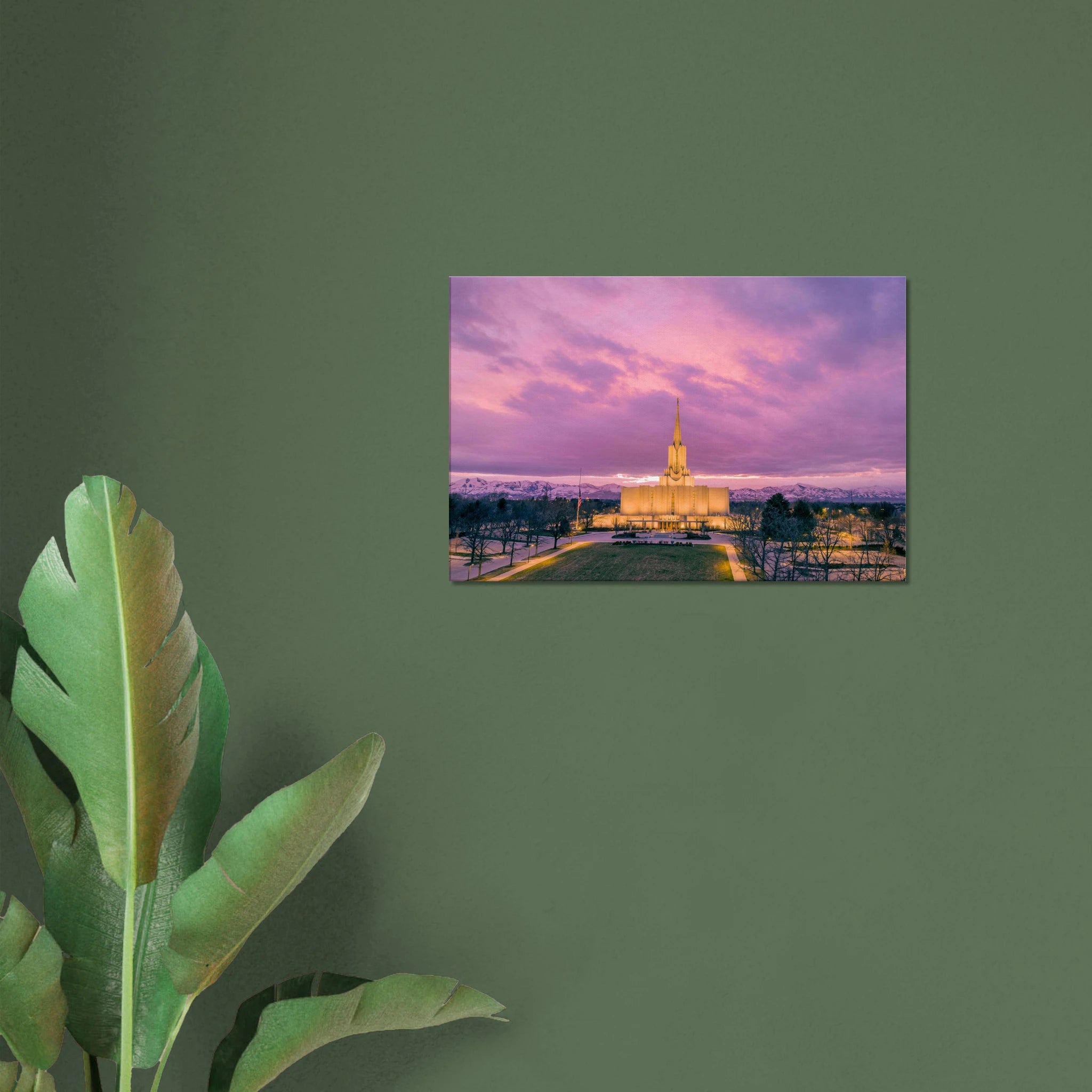 b60155df-f79b-4c47-bf42-cdafa368e56c