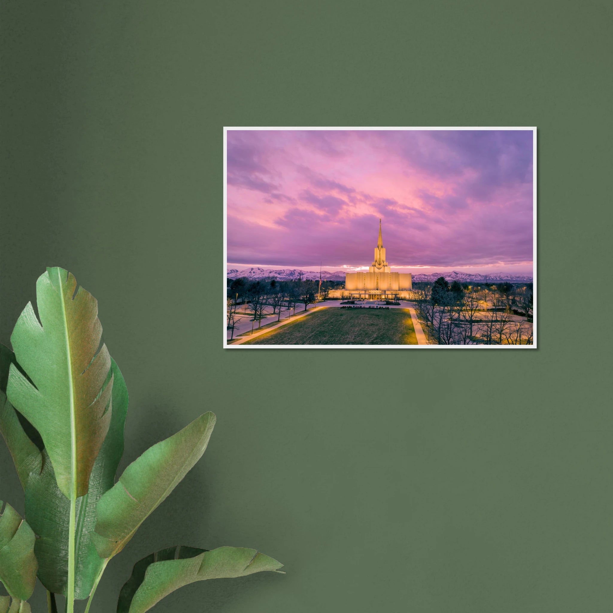 b83681d2-82ca-4772-b933-e589b5ee124a