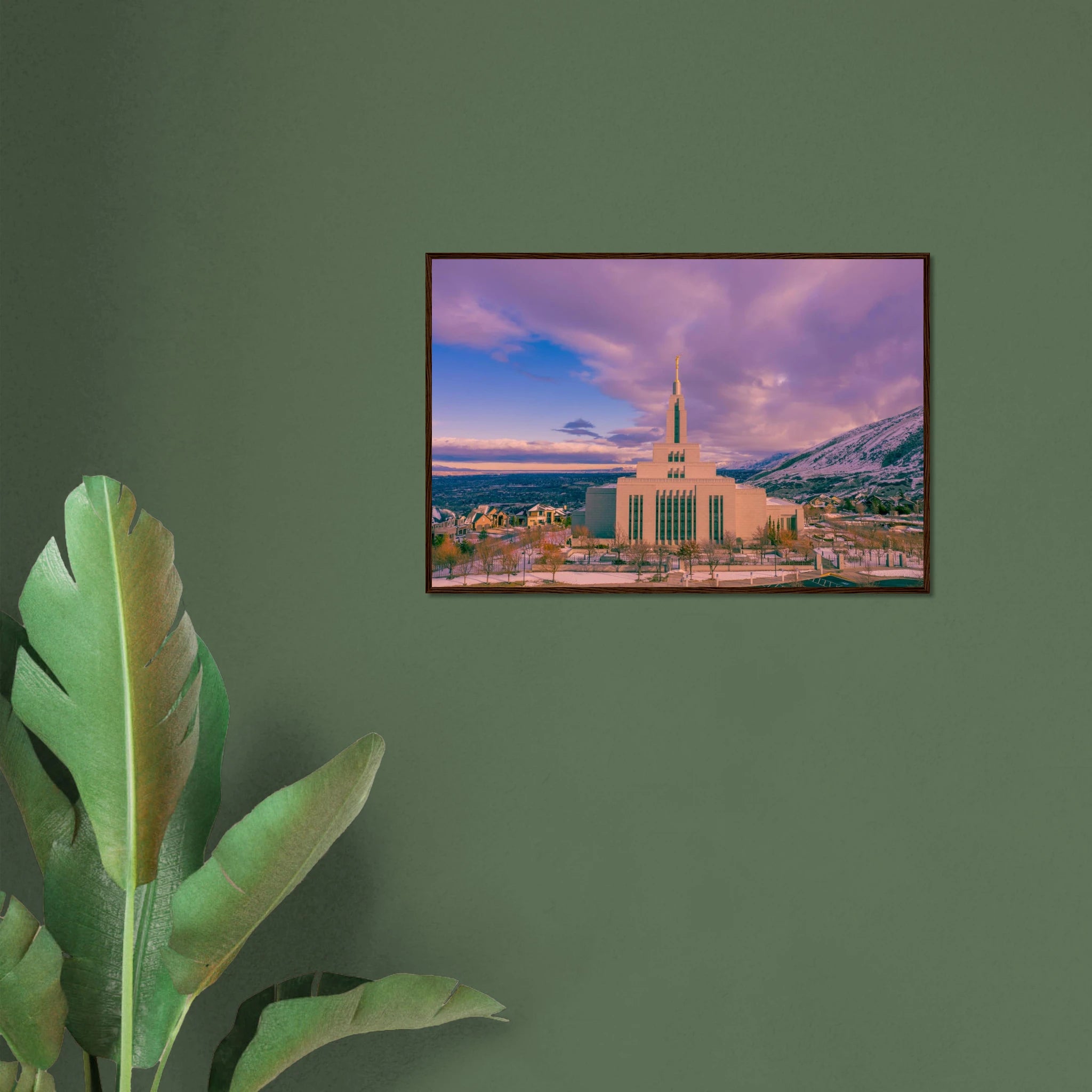 ba47ef6f-0c00-495d-b489-8d33055db586