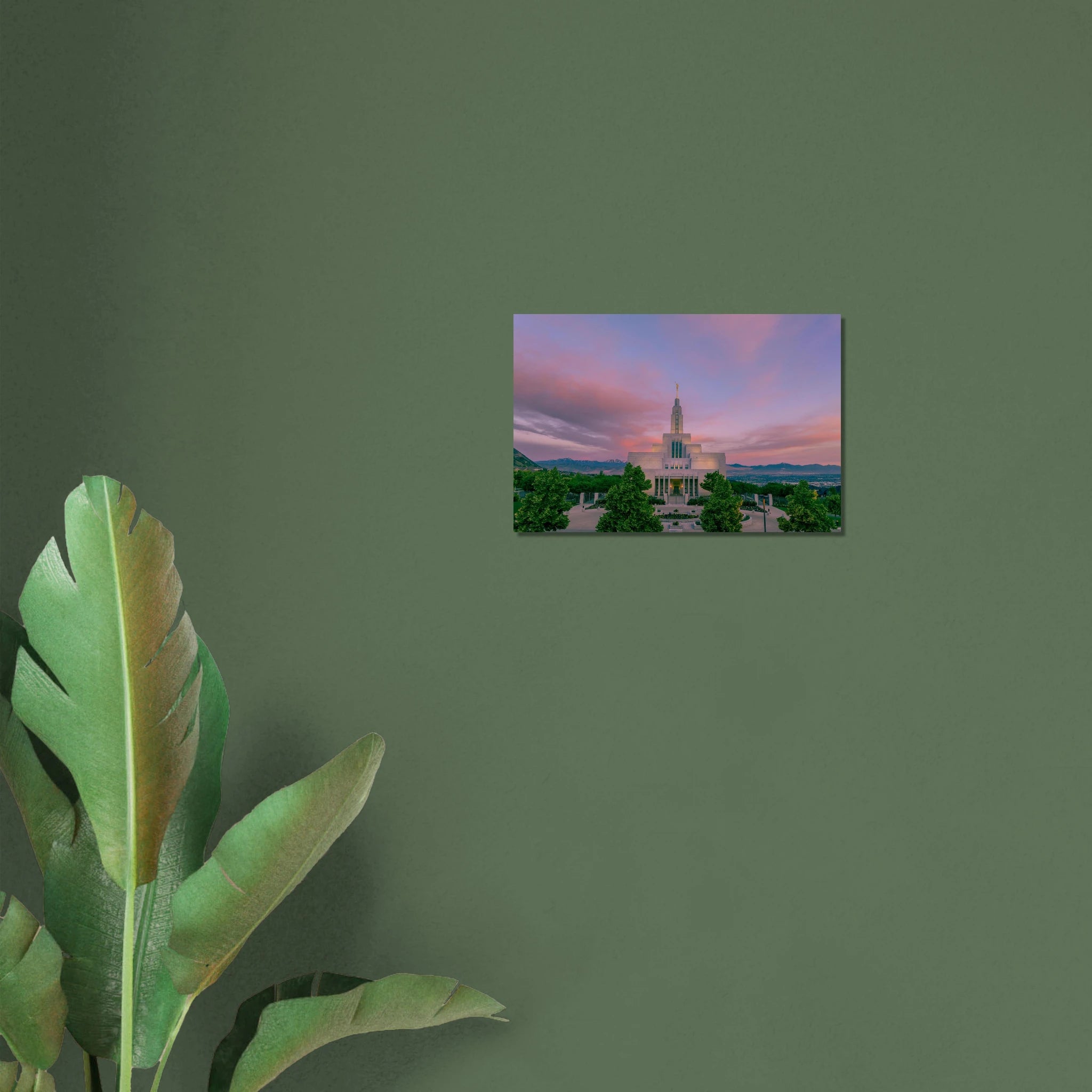 bc9f775a-016f-4440-88f3-457a13999ced