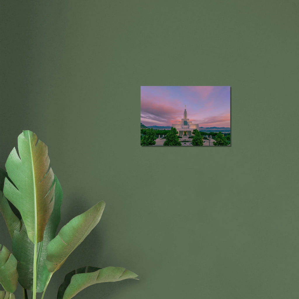 bc9f775a-016f-4440-88f3-457a13999ced