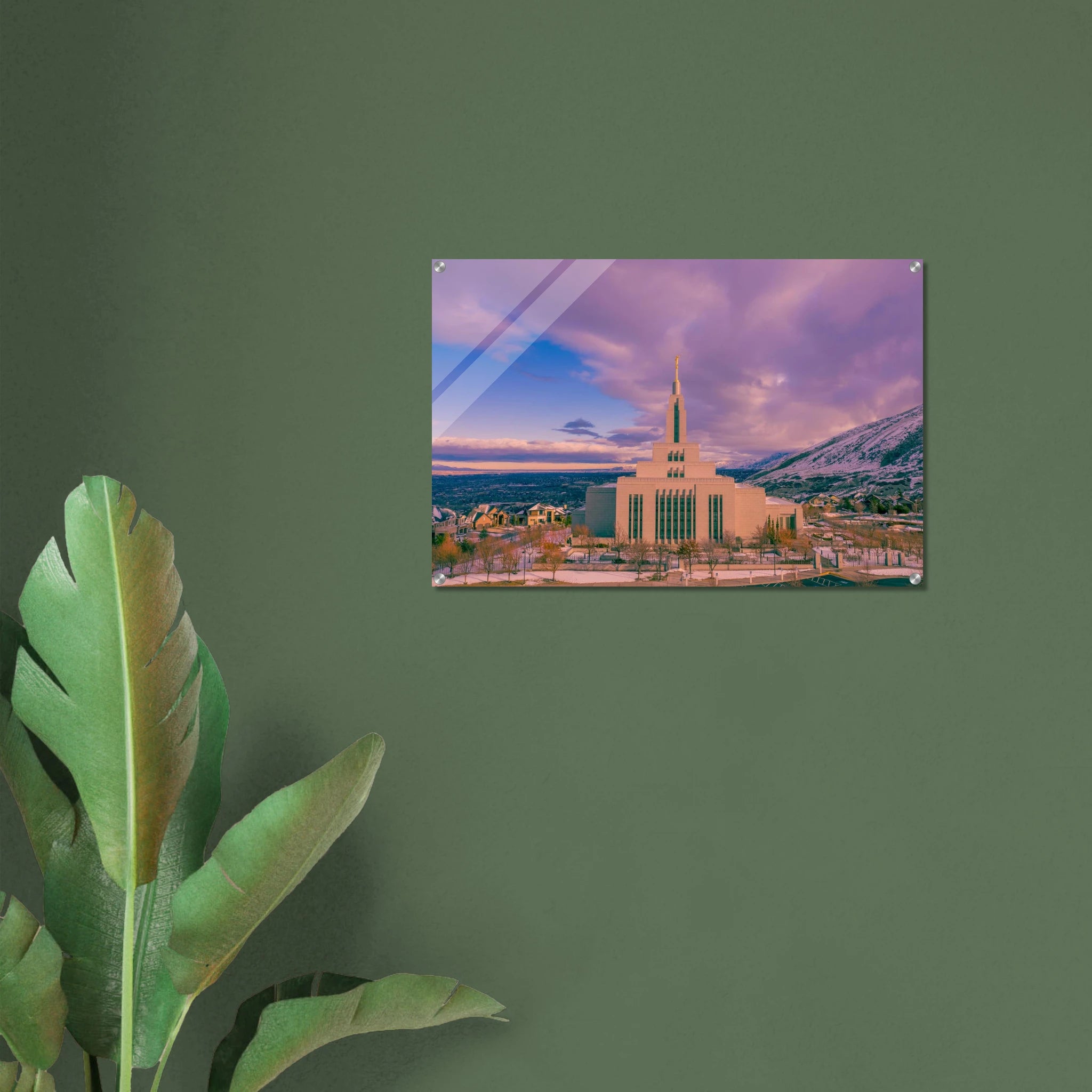 bd858510-5ad2-43c6-8dcd-ffa9dc64ded8