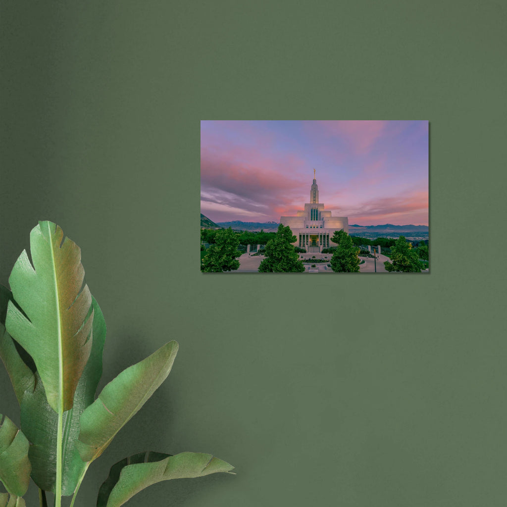 bff40791-6f18-4231-a5f1-0f9b3838d24d