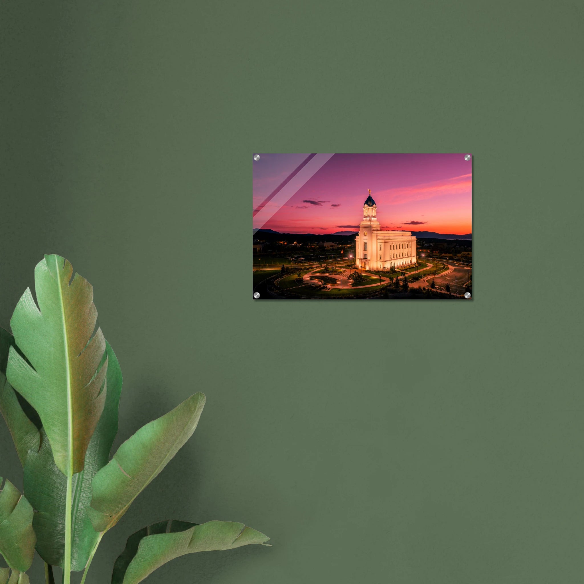 c2429067-7a4f-42a3-8c01-29c665b135f6