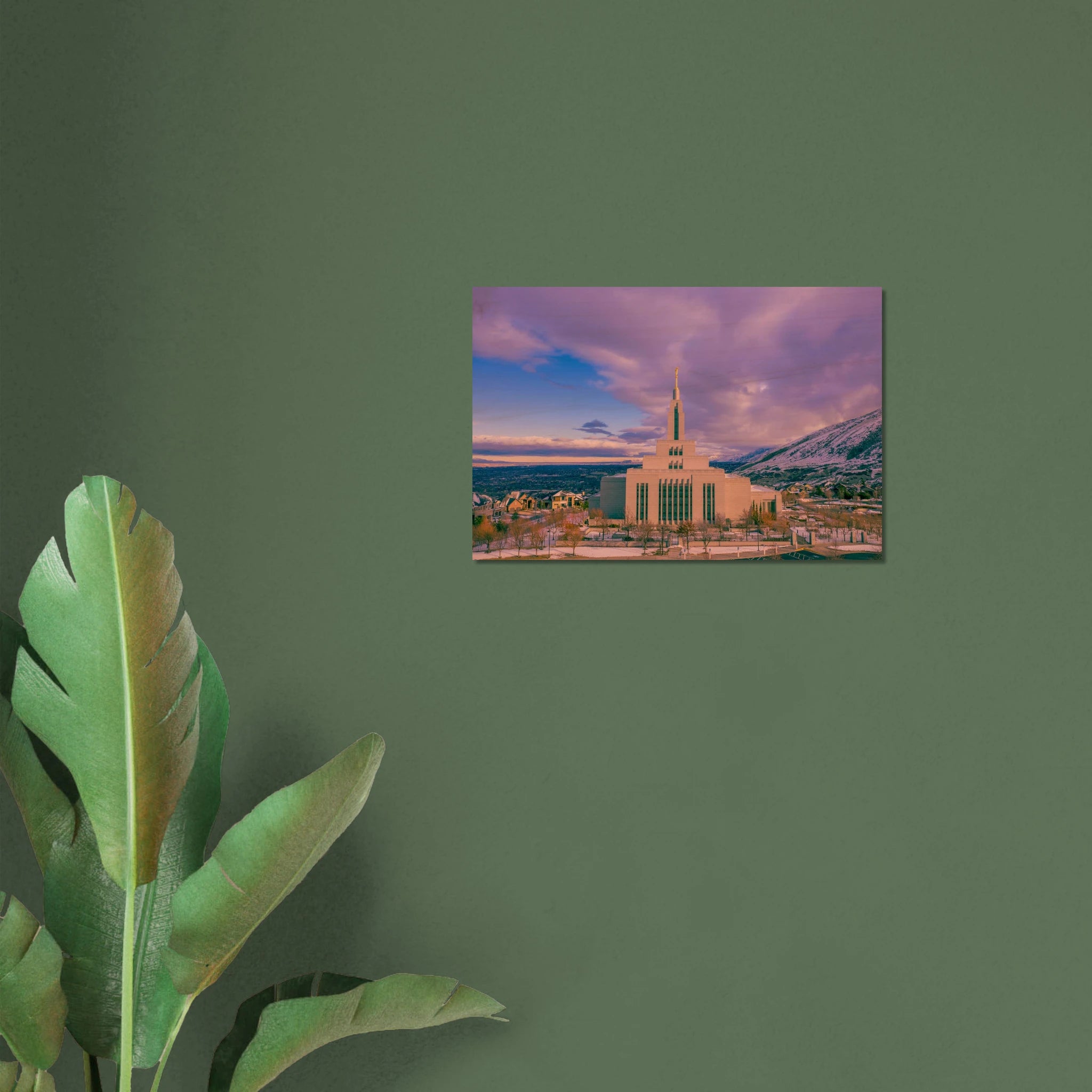 cb84f0a6-c423-4afe-b9ce-c0cacfed74a2