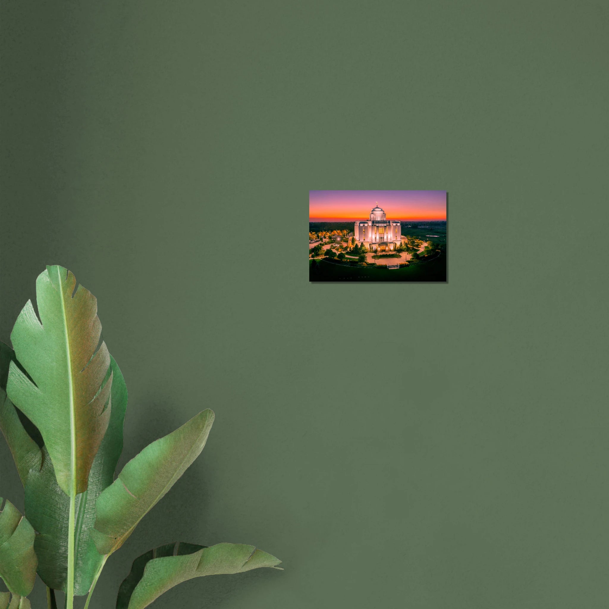 cc15b07a-06c7-4259-ba89-fa311c6c2839