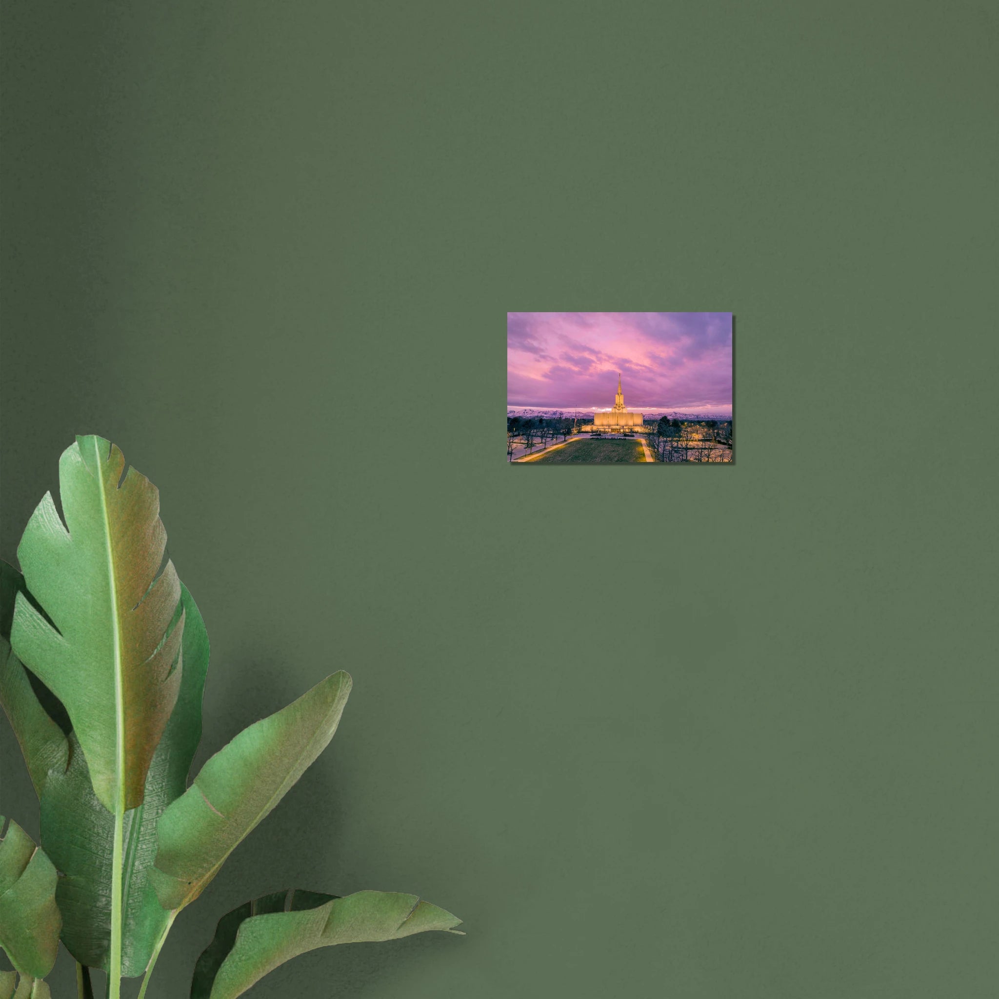 cea6ffa6-b797-433d-9ce4-a2b61afc012d