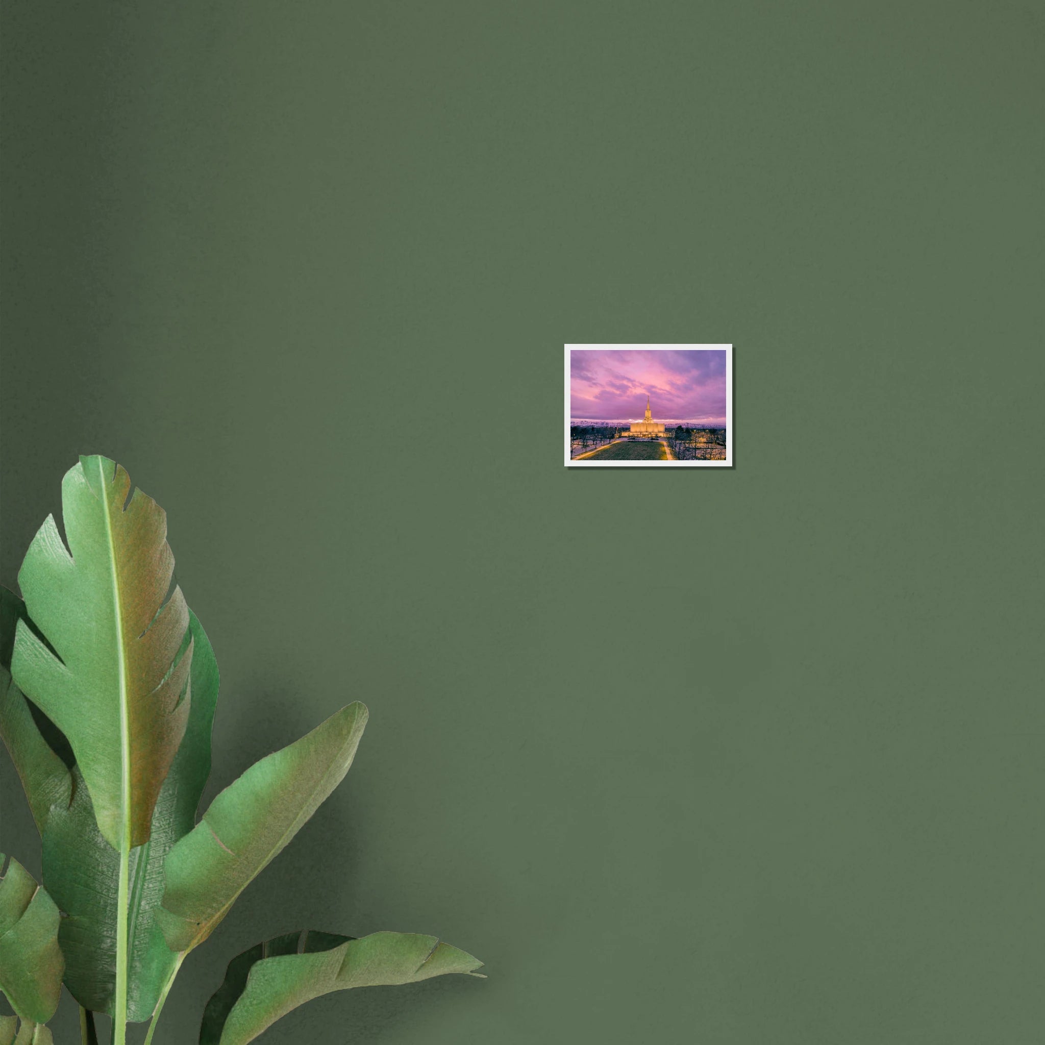 d5477a56-0f33-4ebc-ba01-594b8ab48b93